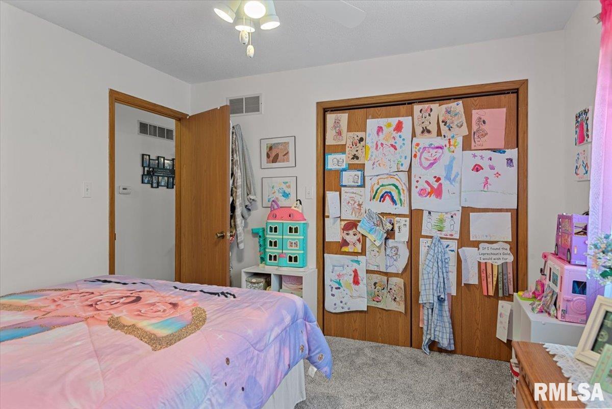 122 W Chapin Street, Litchfield, Illinois image 15
