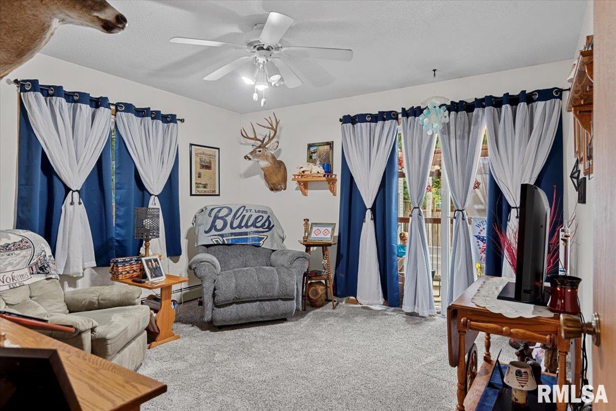 122 W Chapin Street, Litchfield, Illinois image 19