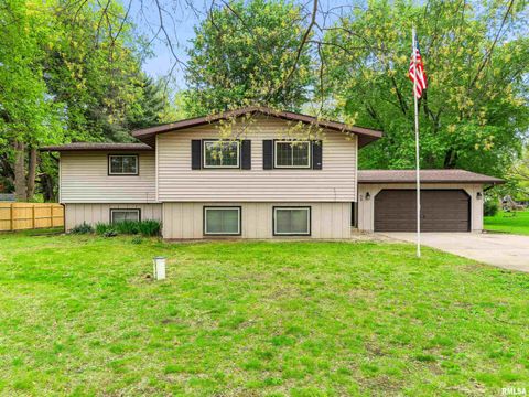 Photo of 58 S RIVERVIEW Drive, East Peoria, IL 61611 (MLS # PA1266139)
