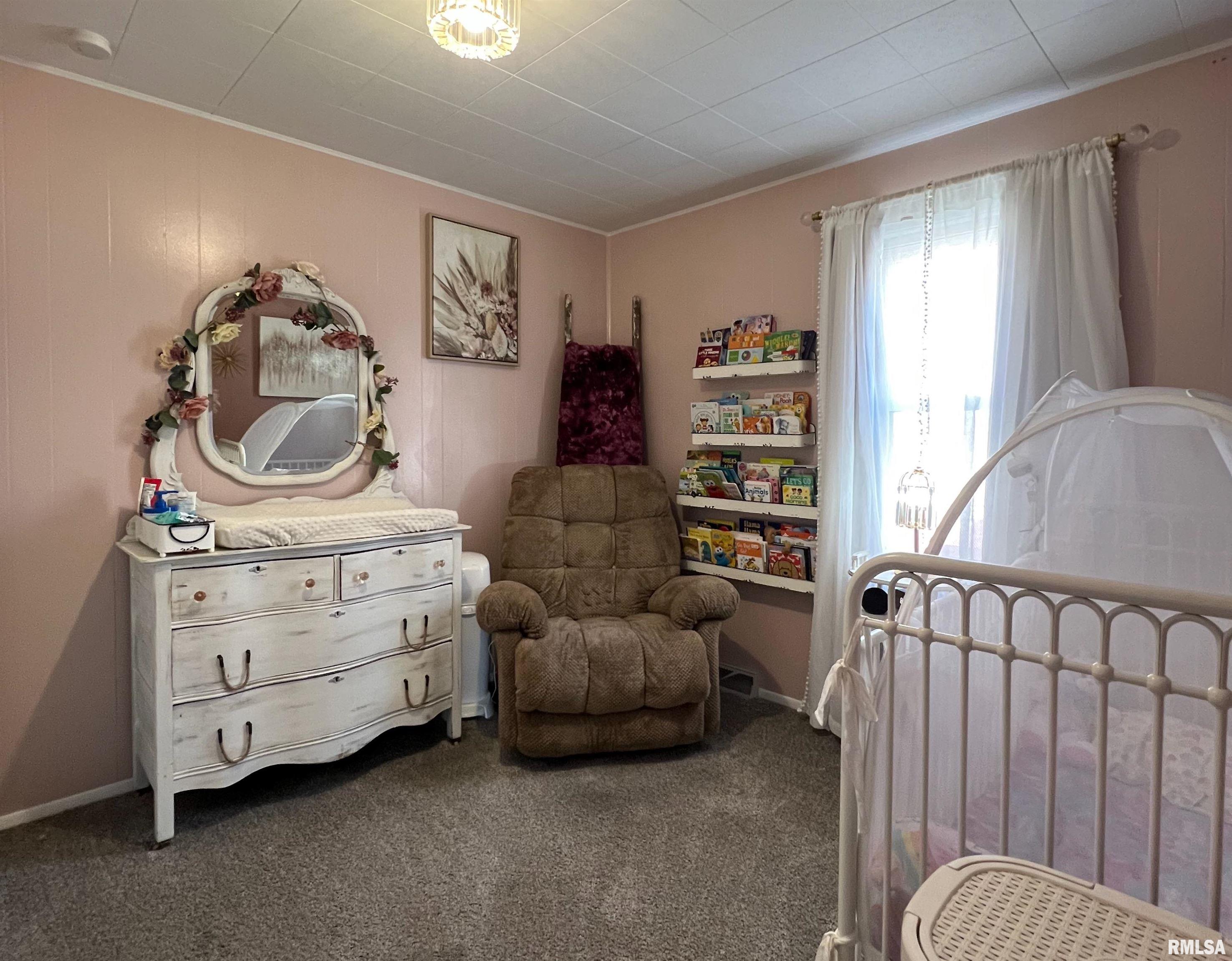 209 3rd Street, Colona, Illinois image 15