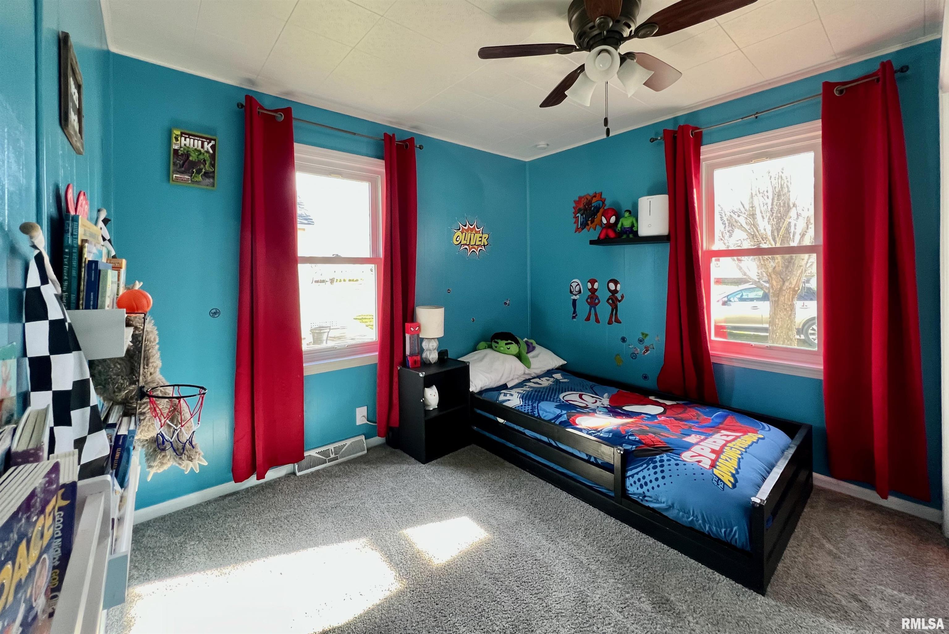 209 3rd Street, Colona, Illinois image 14
