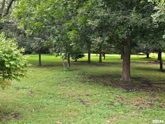 0 HYMAN, CANTON, IL 61520 - Image d9b28d8a8b574a39f3052cc4f735ed0d/2811432993