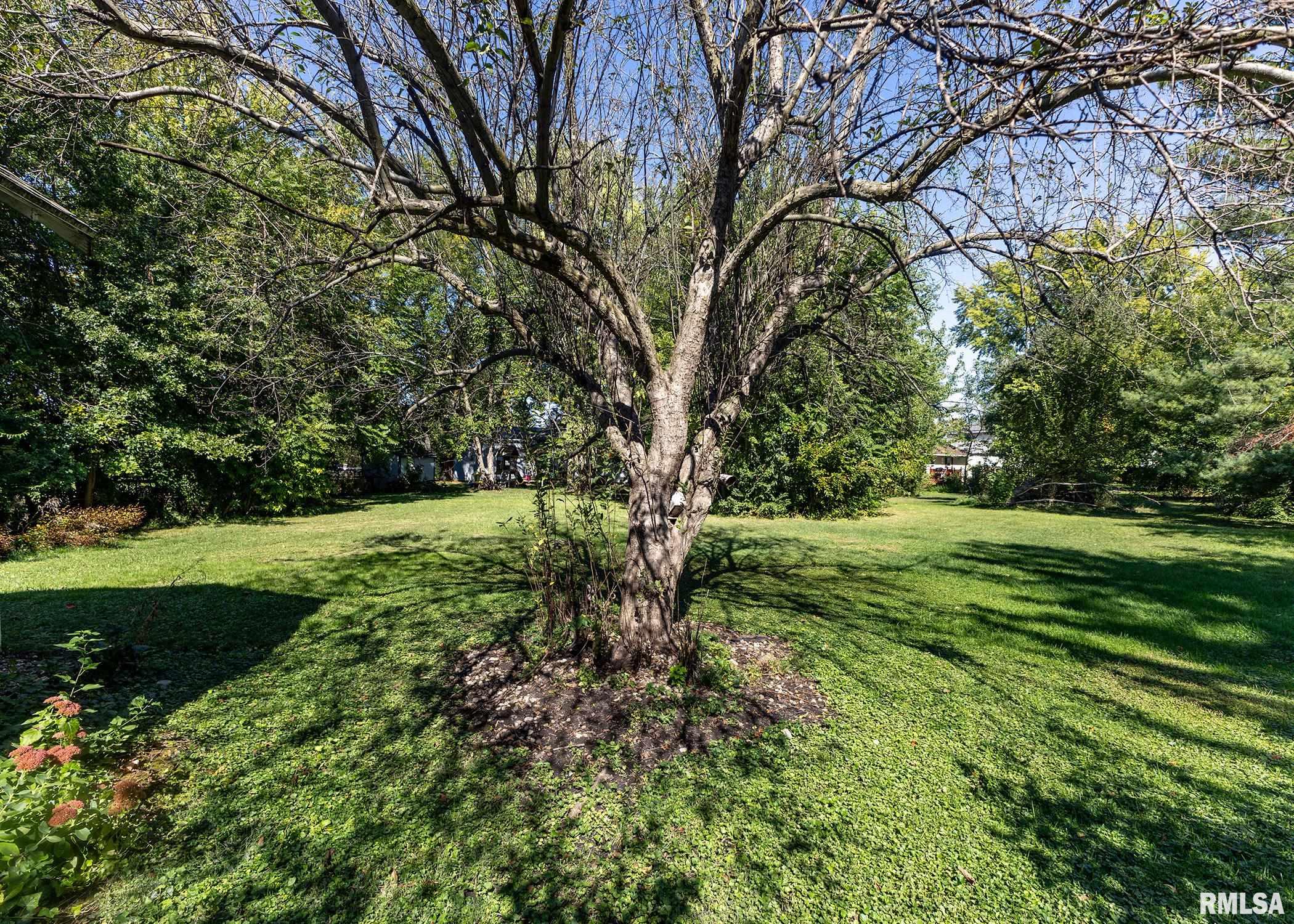 314 W Locust Street, Cambridge, Illinois image 32