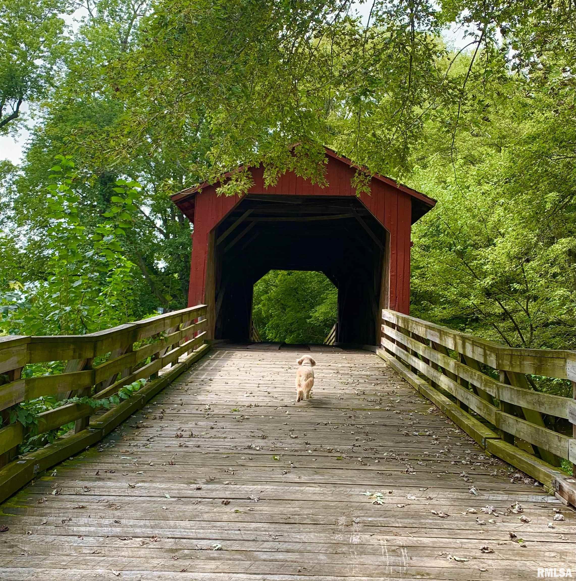 60 Covered Bridge Acres, Glenarm, Illinois image 9