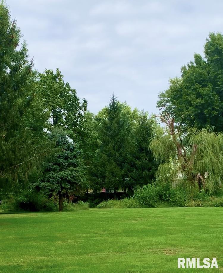 60 Covered Bridge Acres, Glenarm, Illinois image 5