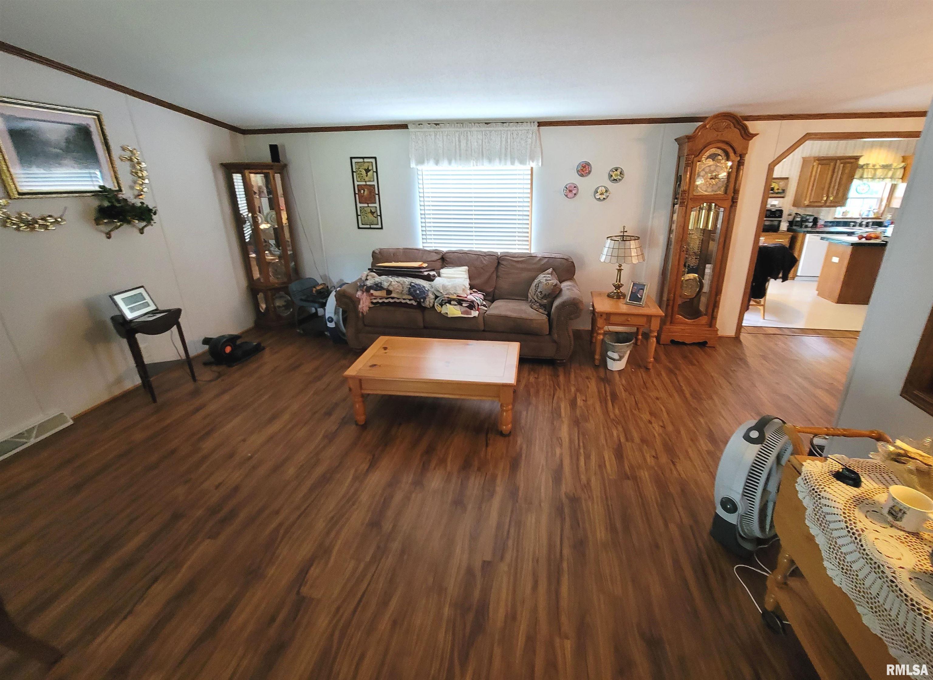 3614 S Hotze Road, Salem, Illinois image 11