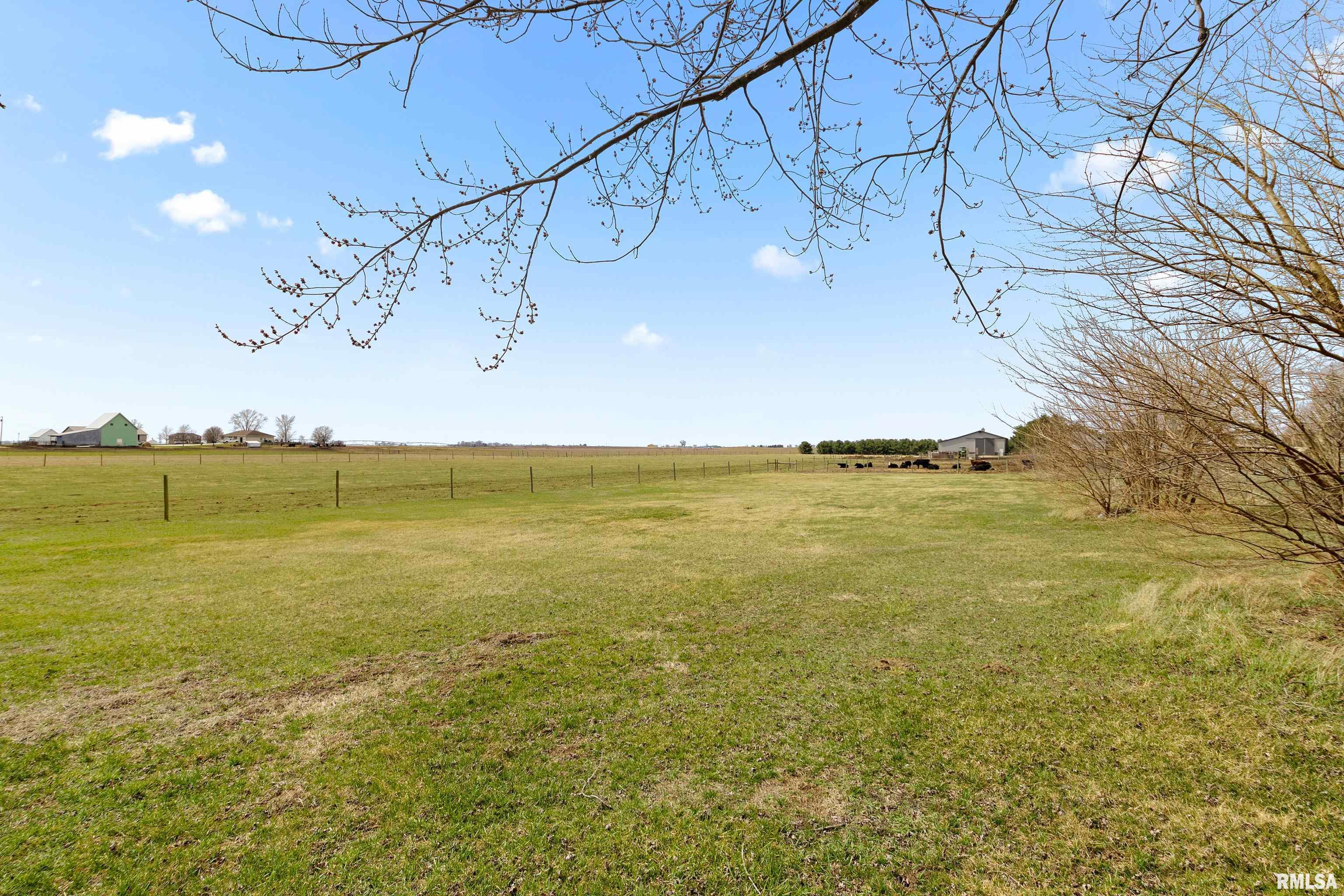 20842 N County Road 3300 E Road, Manito, Illinois image 6