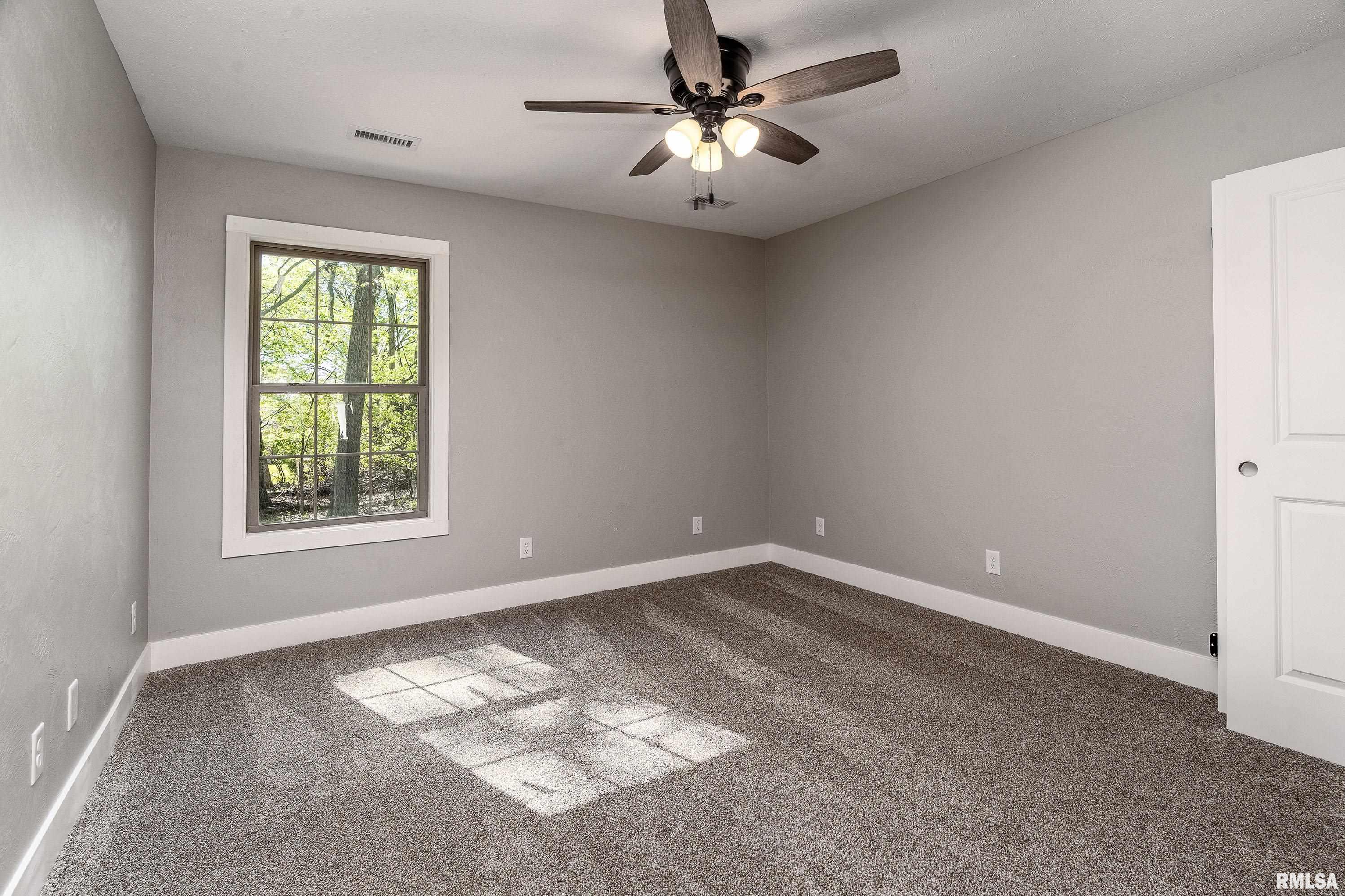 212 Saddie Lane, Cambria, Illinois image 19