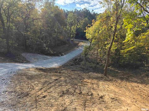 Vacant Land For Sale - 255 Yellow Springs Road<br/> Hardin County, Elizabethtown, IL 62931