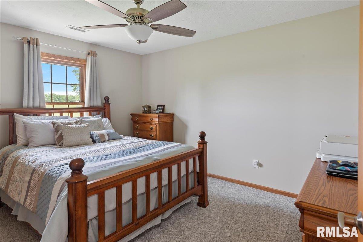 7878 Cardinal Hill Road, Rochester, Illinois image 25