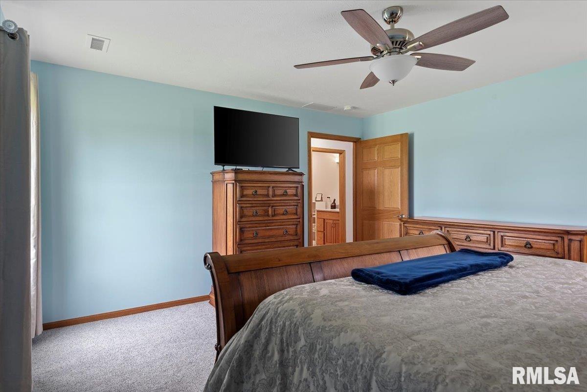 7878 Cardinal Hill Road, Rochester, Illinois image 20