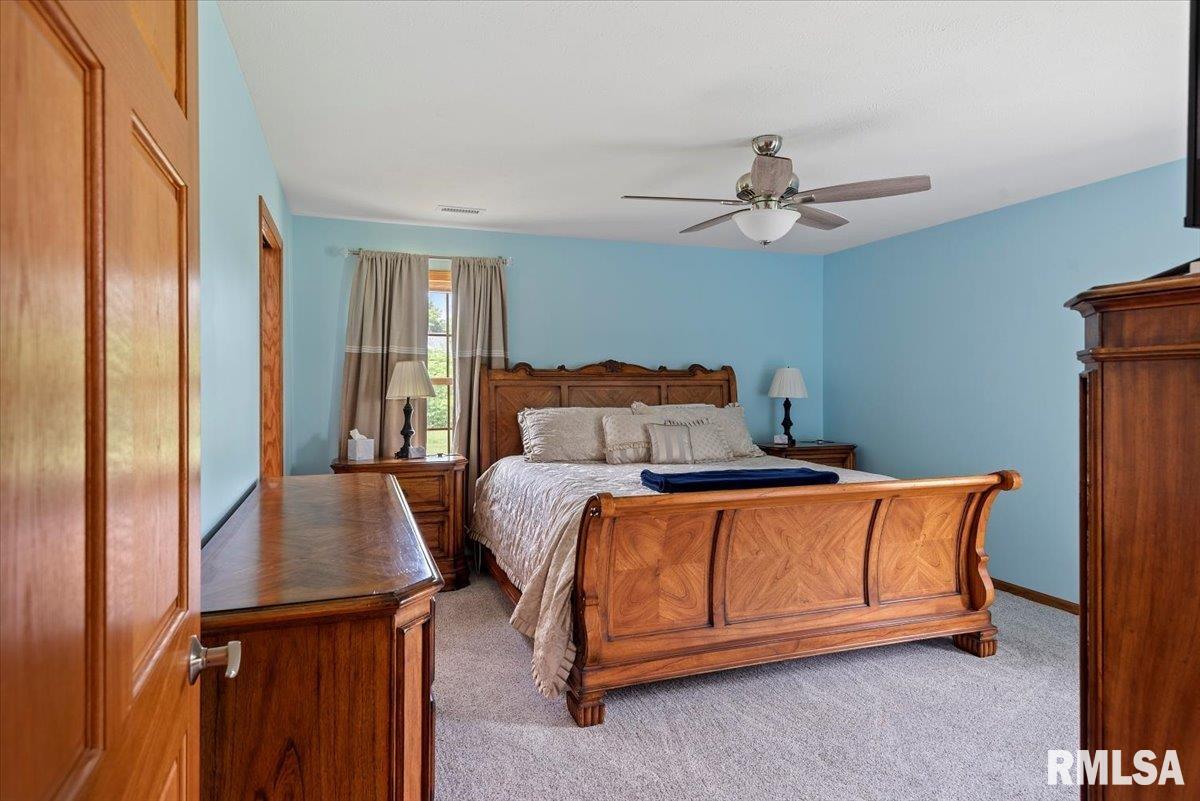7878 Cardinal Hill Road, Rochester, Illinois image 17