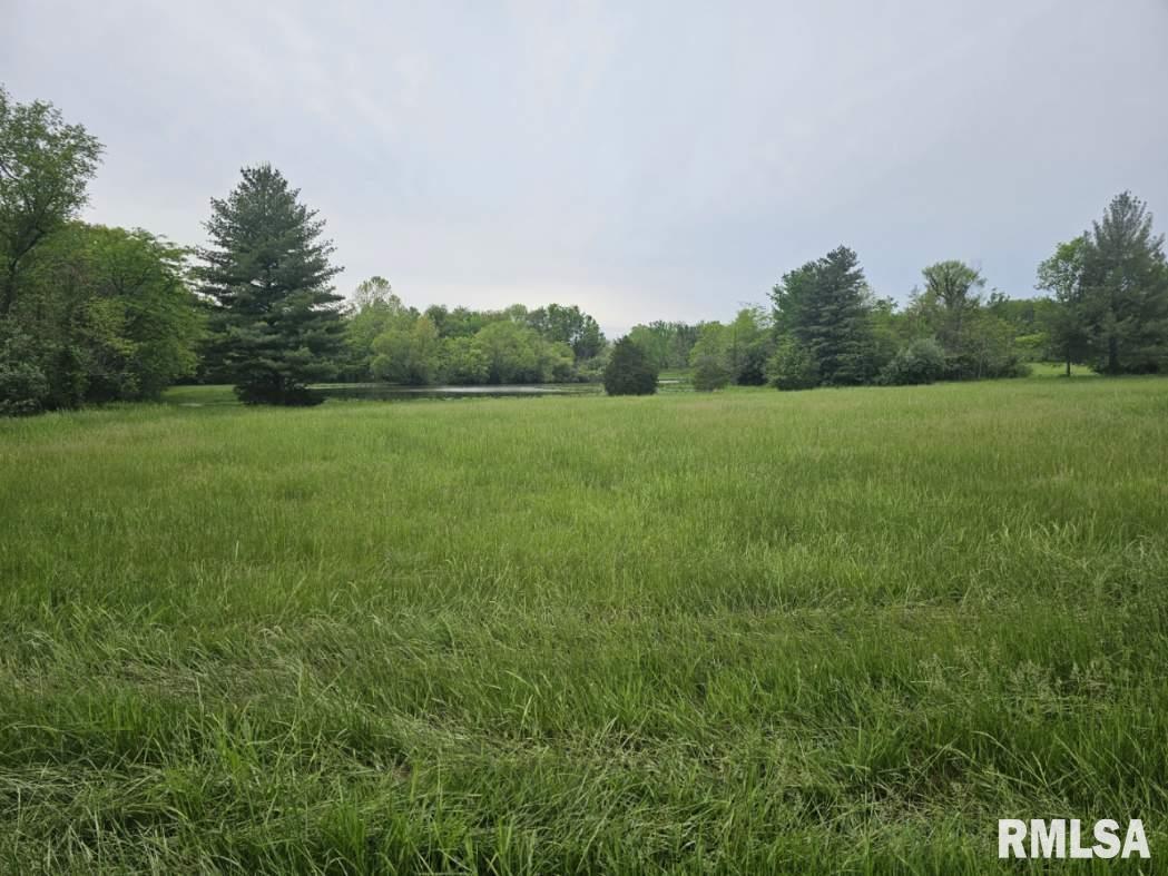 16123 N Hickory Lane, Woodlawn, Illinois image 9
