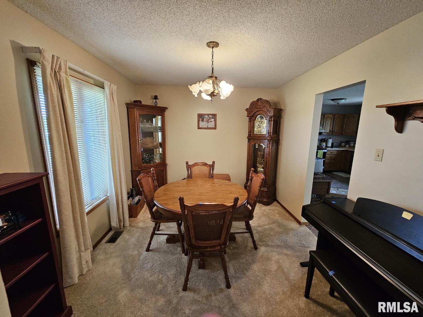 16123 N Hickory Lane, Woodlawn, Illinois image 29