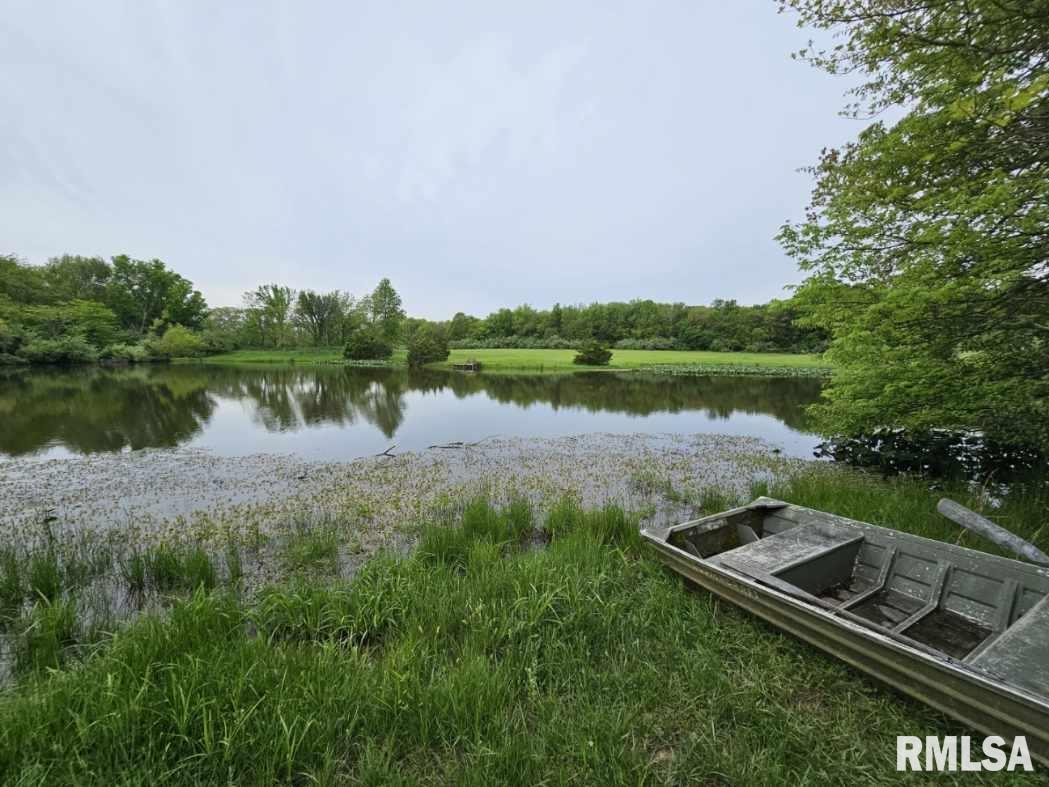 16123 N Hickory Lane, Woodlawn, Illinois image 7