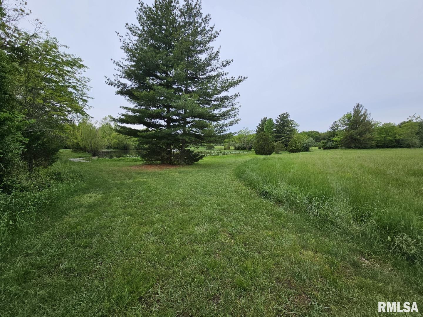 16123 N Hickory Lane, Woodlawn, Illinois image 8