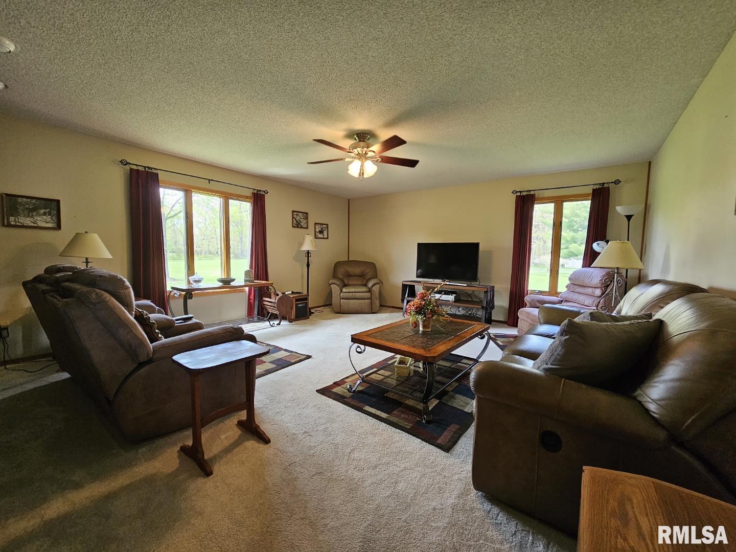 16123 N Hickory Lane, Woodlawn, Illinois image 22