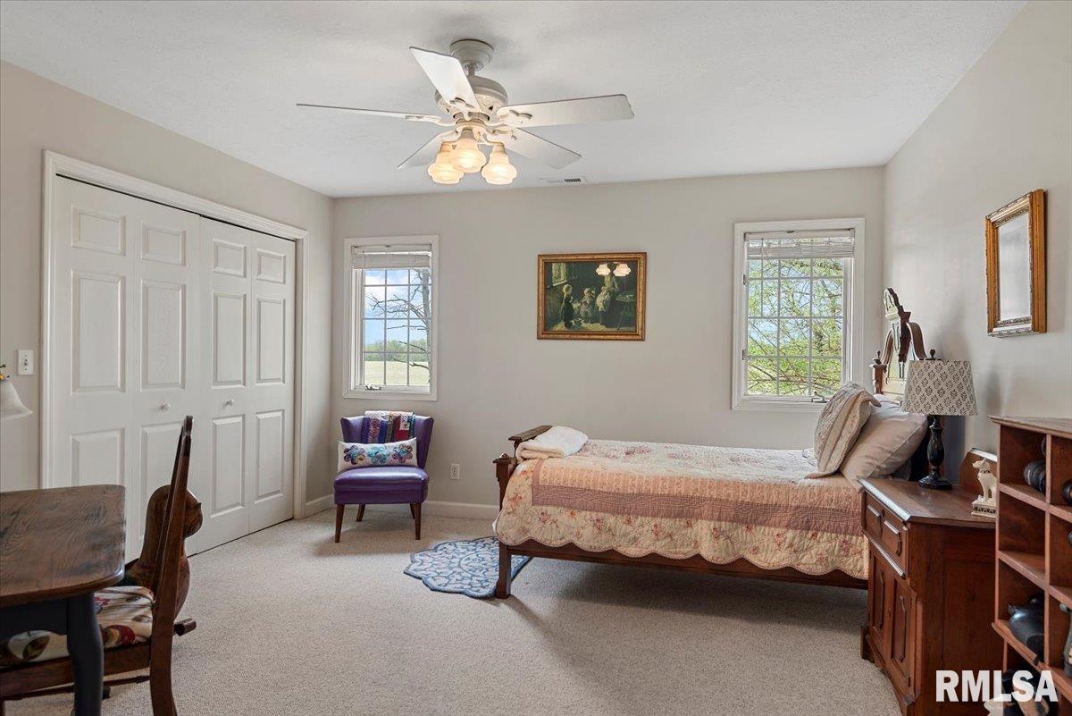 10 Woodland Trail, Rochester, Illinois image 42