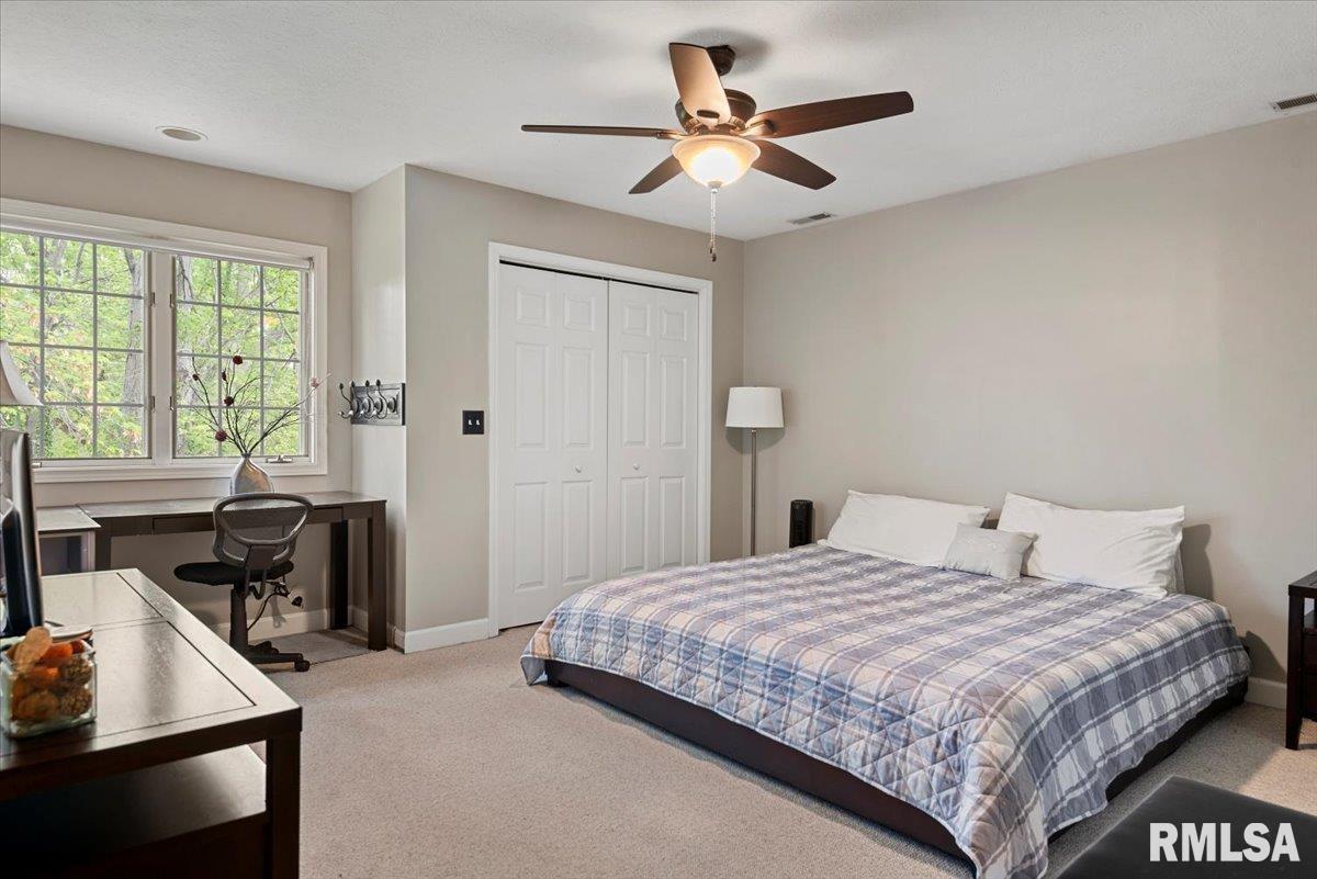10 Woodland Trail, Rochester, Illinois image 44