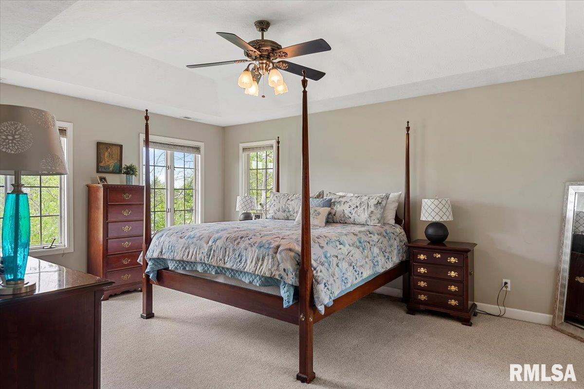 10 Woodland Trail, Rochester, Illinois image 35