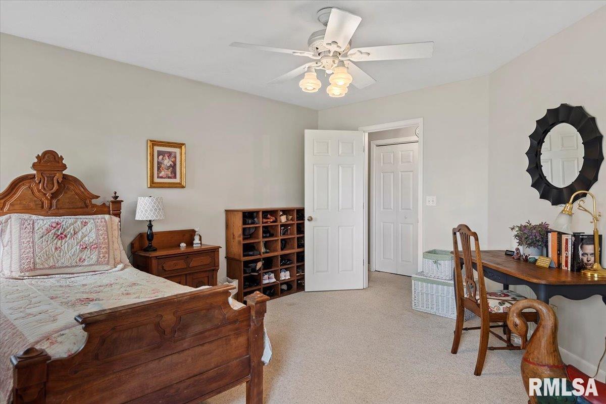 10 Woodland Trail, Rochester, Illinois image 43