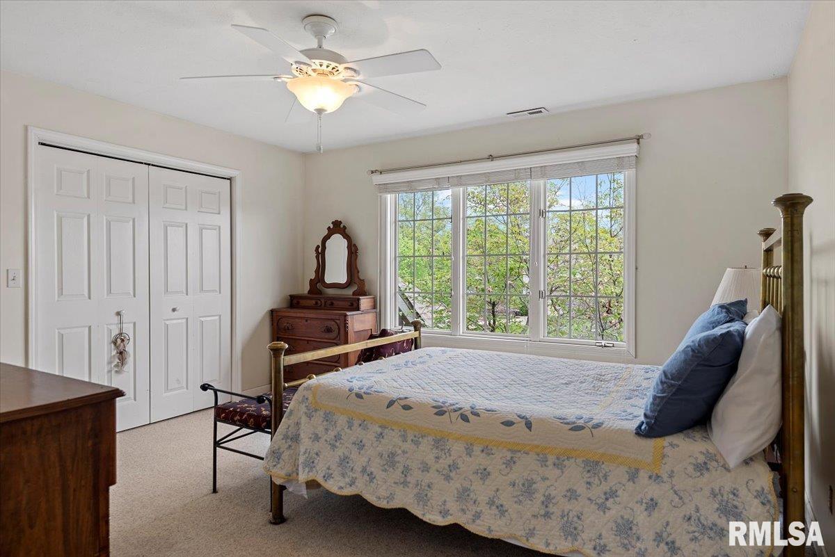 10 Woodland Trail, Rochester, Illinois image 47