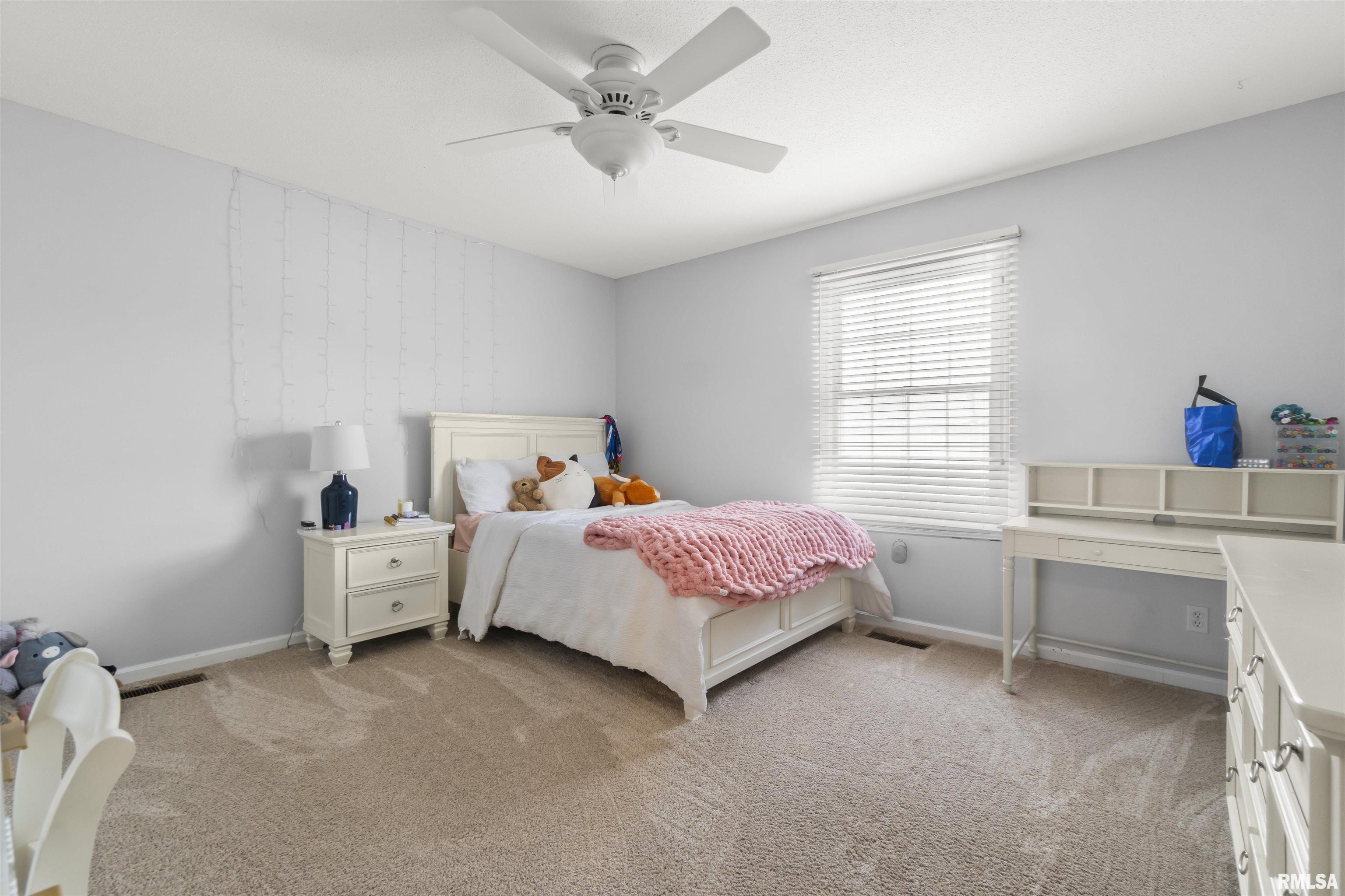 4707 W Lynnbrook Drive, Peoria, Illinois image 24