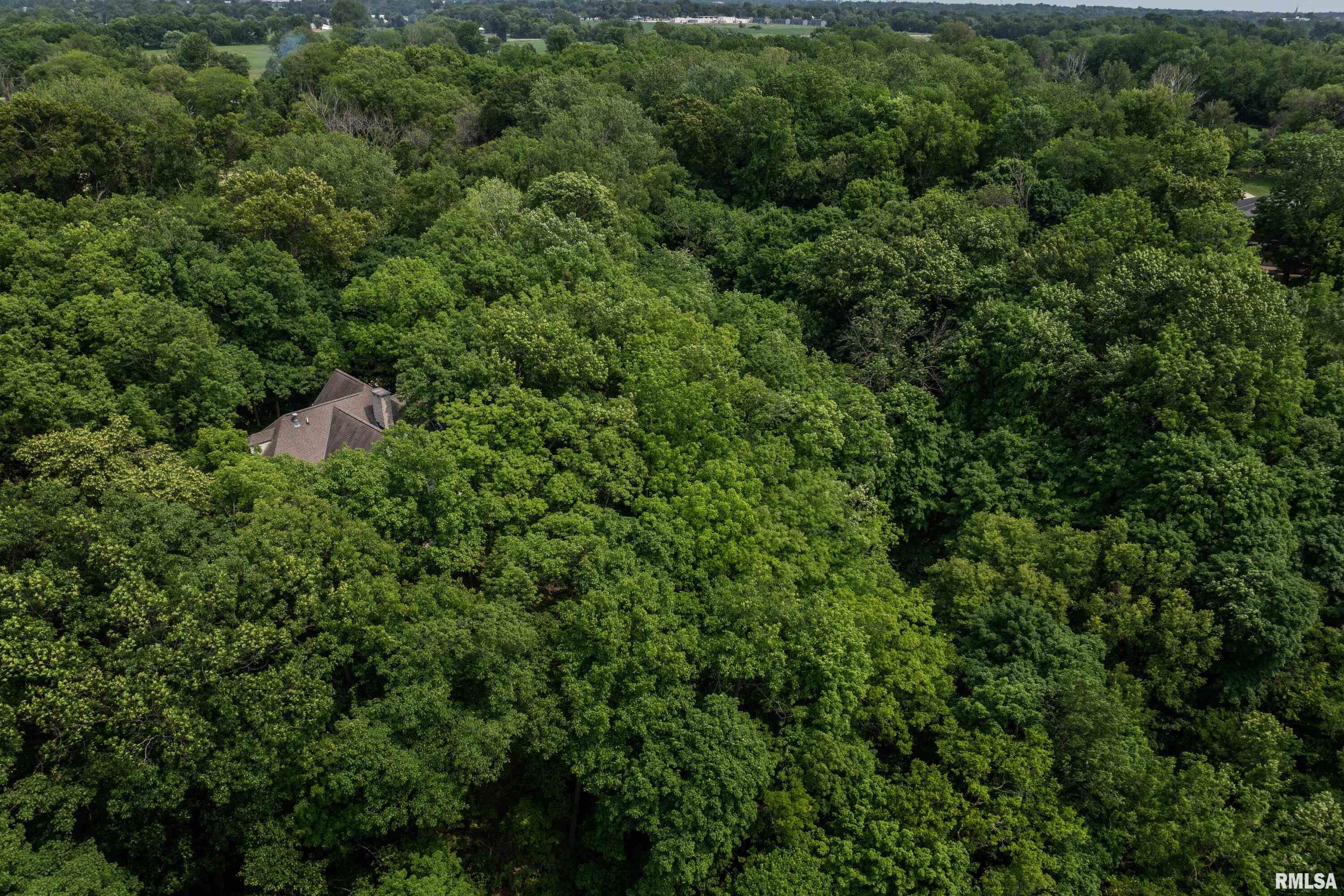 220 Einhaus Lane, Quincy, Illinois image 44