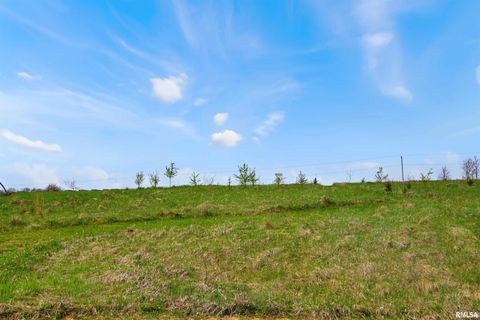 Vacant Land For Sale - 0 - LOT 9 N Stevens Court<br/> Princeville, IL 61559
