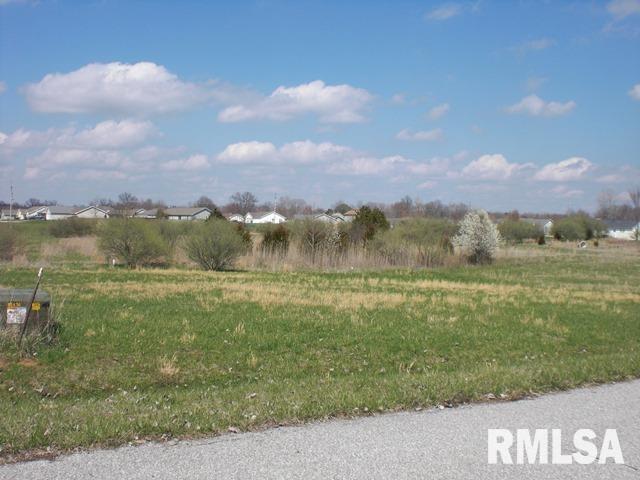 5745 Red Fox Drive, Carterville, Illinois image 4