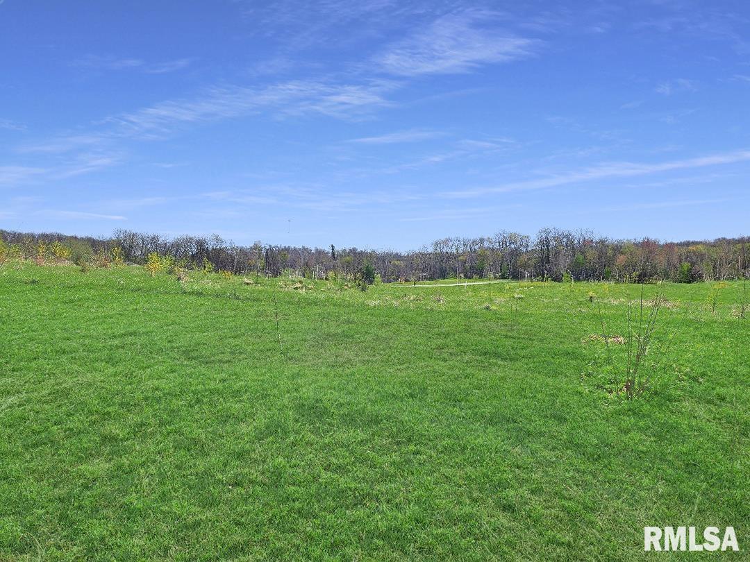 0 - LOT 6 Town Avenue, Princeville, Illinois image 1