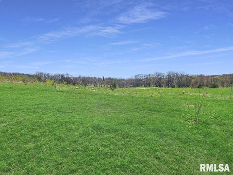 Vacant Land For Sale - 0 - LOT 6 Town Avenue<br/> Princeville, IL 61559