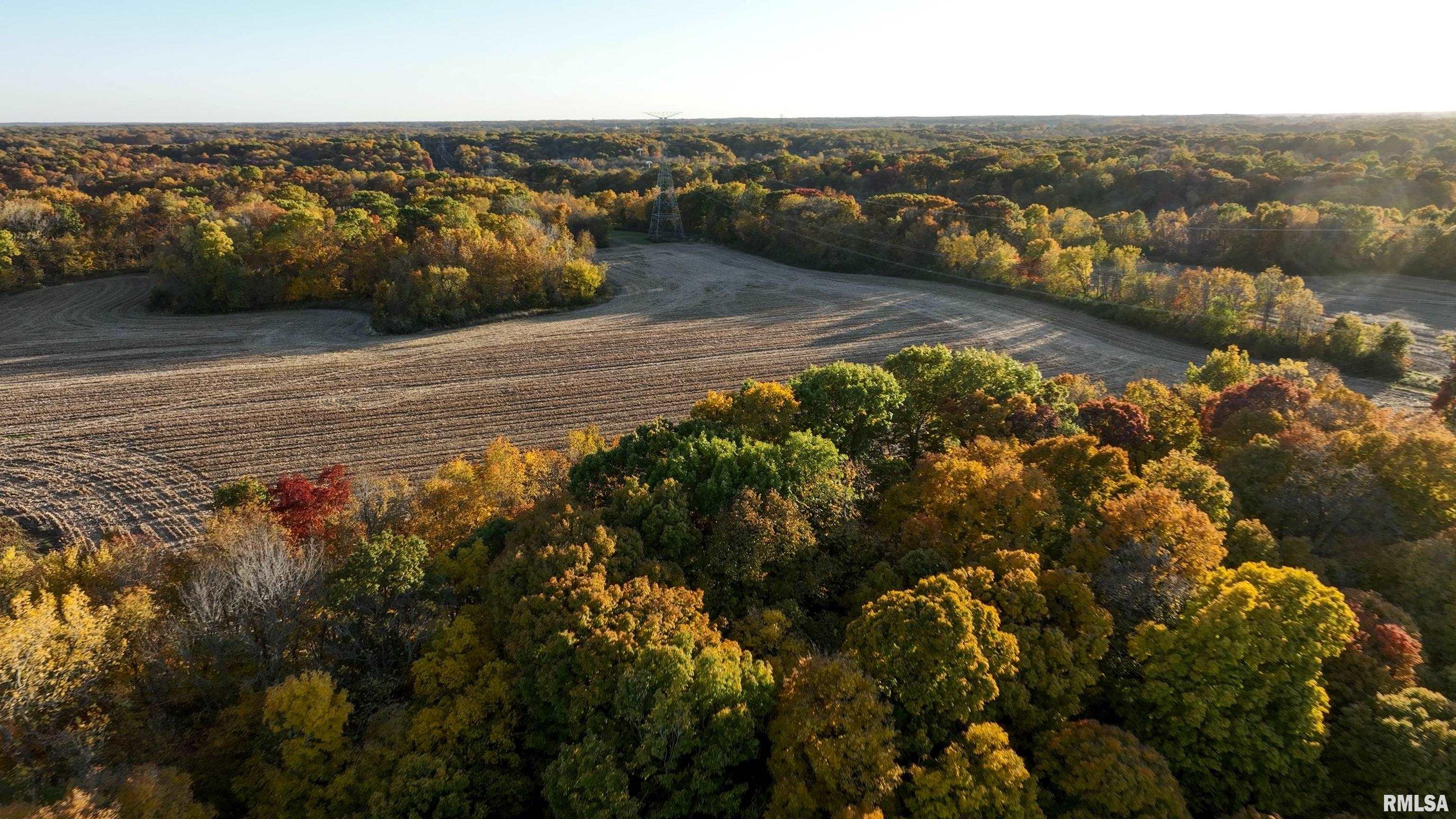 000 E Breeds Road, Canton, Illinois image 3