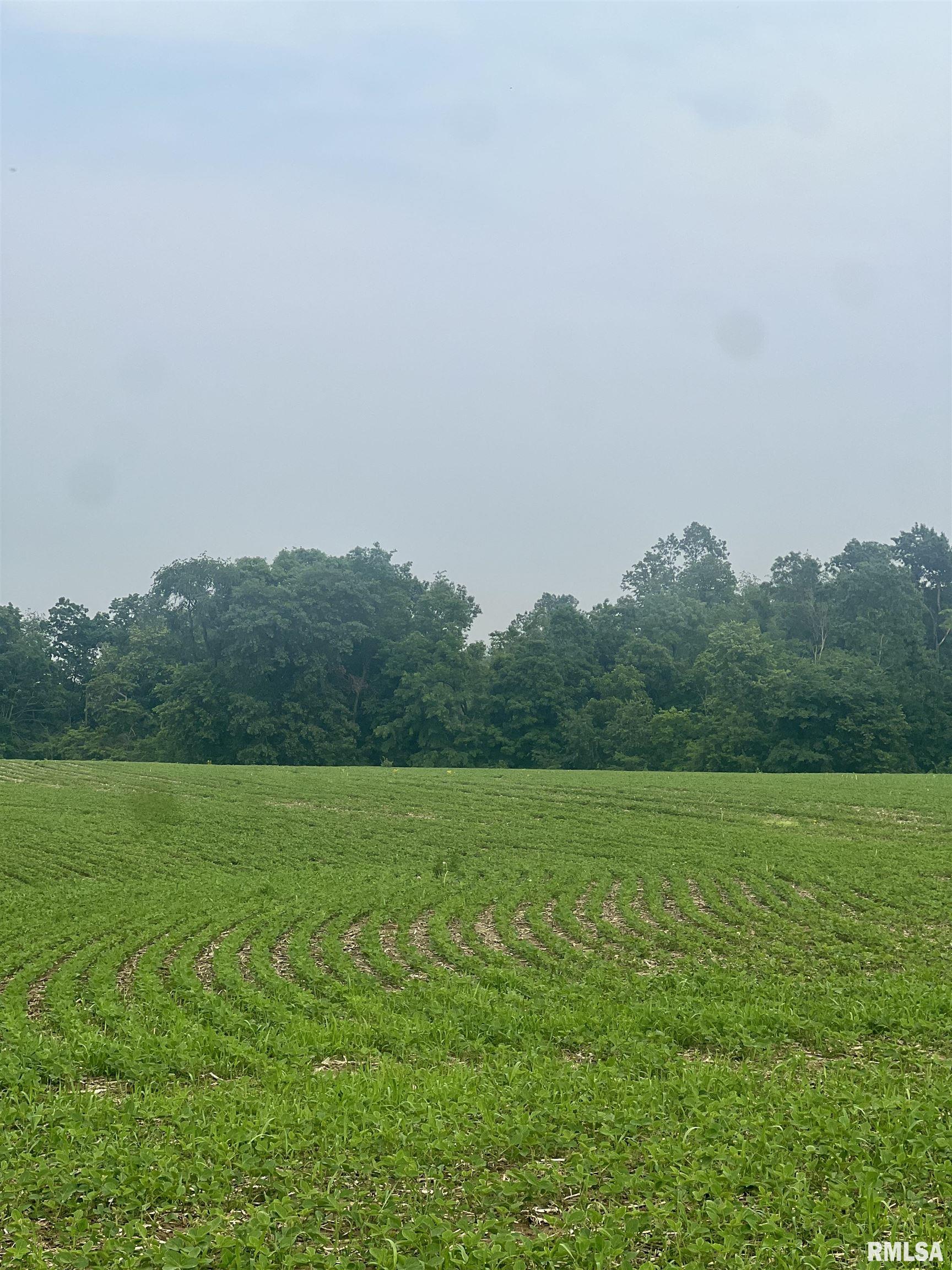 14953 E Grain Bin Road, Lewistown, Illinois image 4