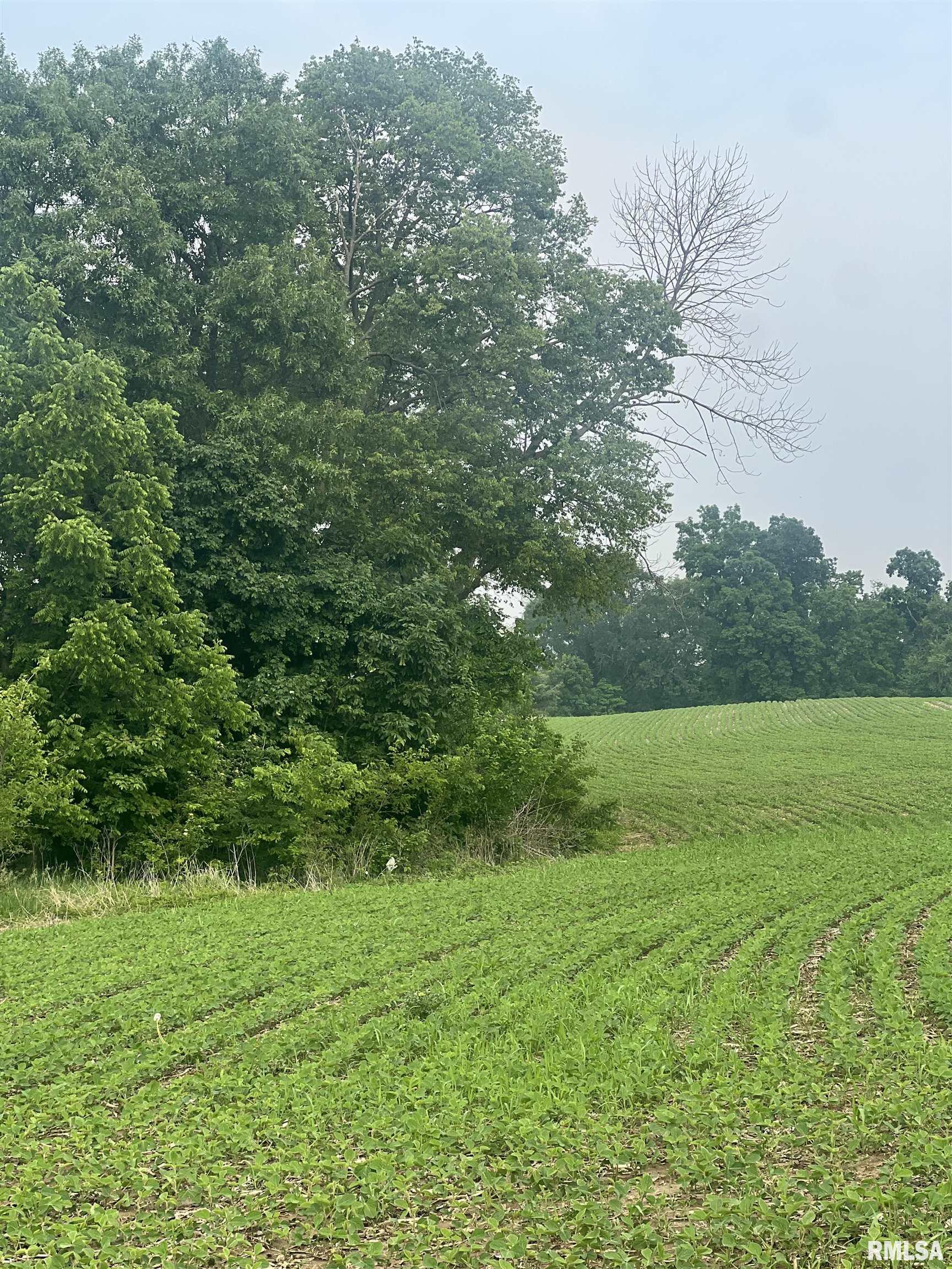 14953 E Grain Bin Road, Lewistown, Illinois image 6