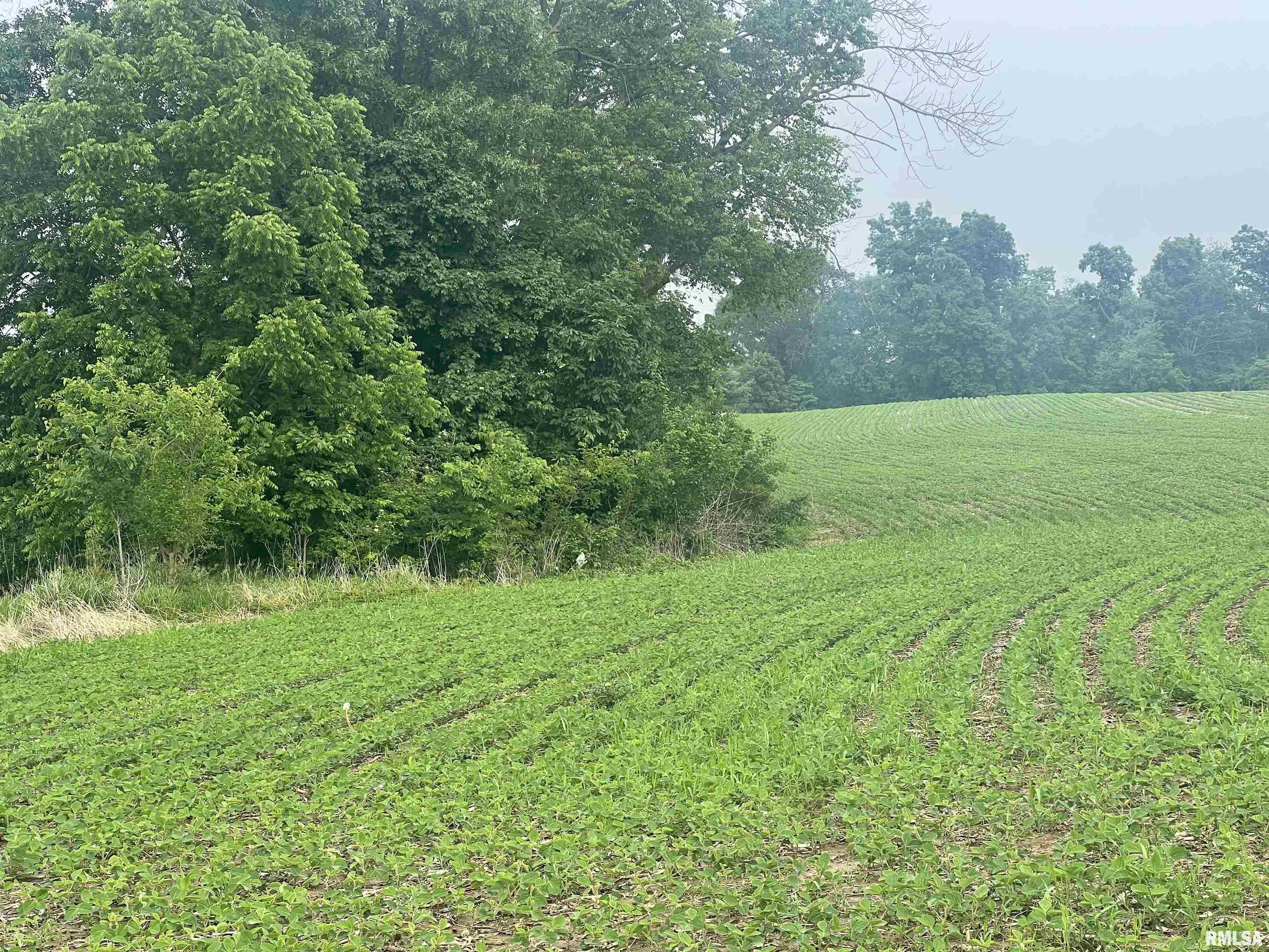 14953 E Grain Bin Road, Lewistown, Illinois image 7