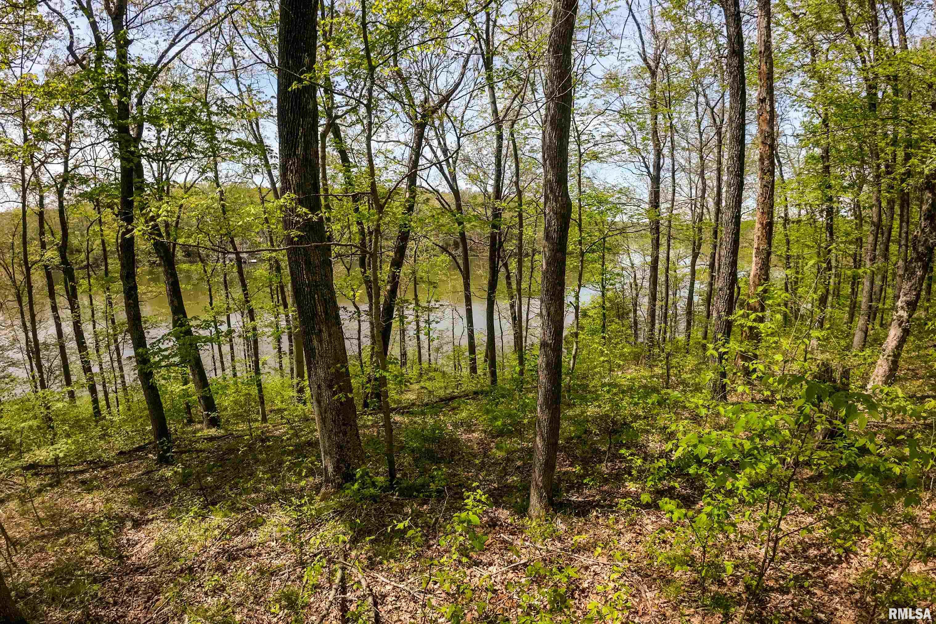 Lot 142 & 143 Cherry Point, Goreville, Illinois image 14
