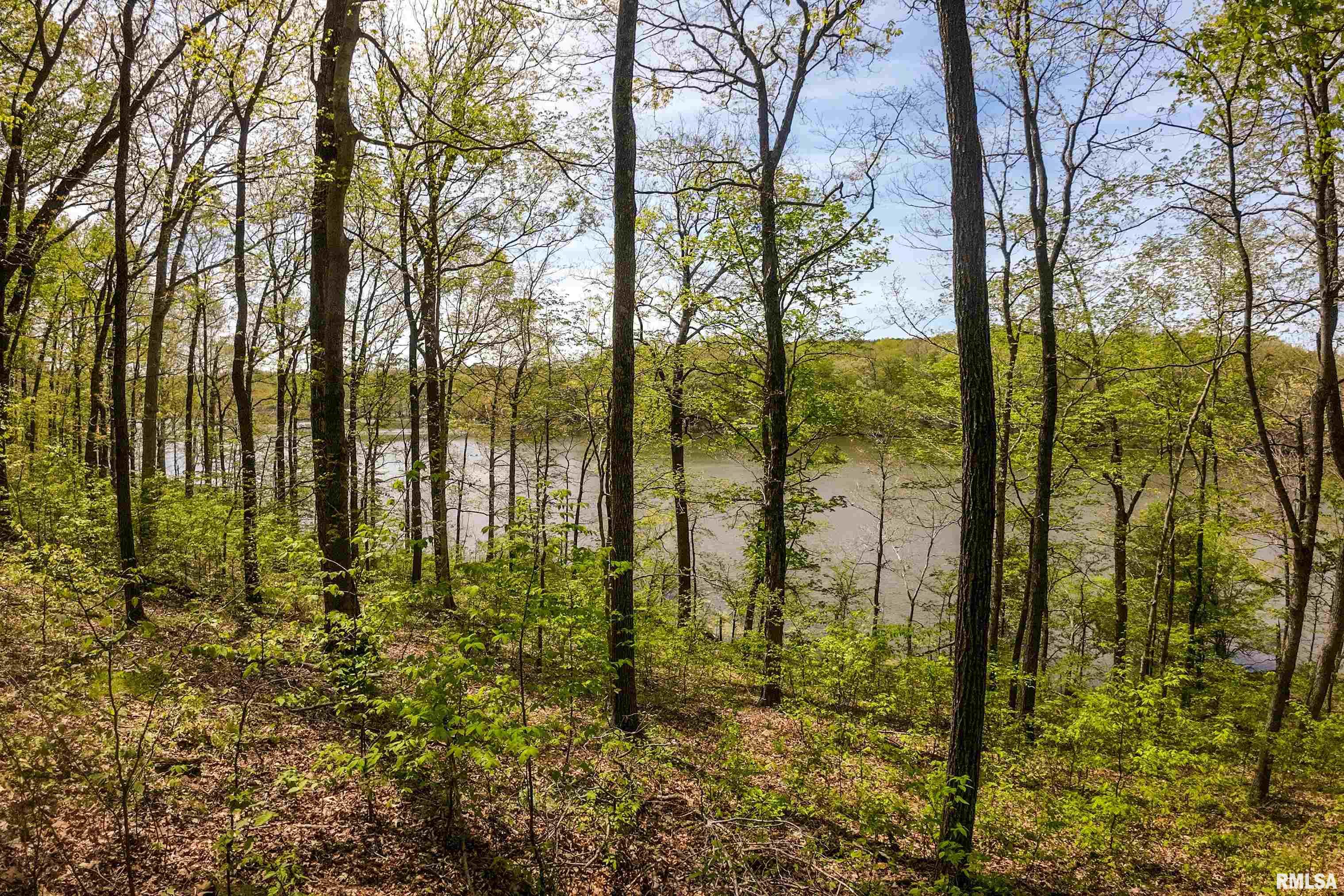 Lot 142 & 143 Cherry Point, Goreville, Illinois image 18