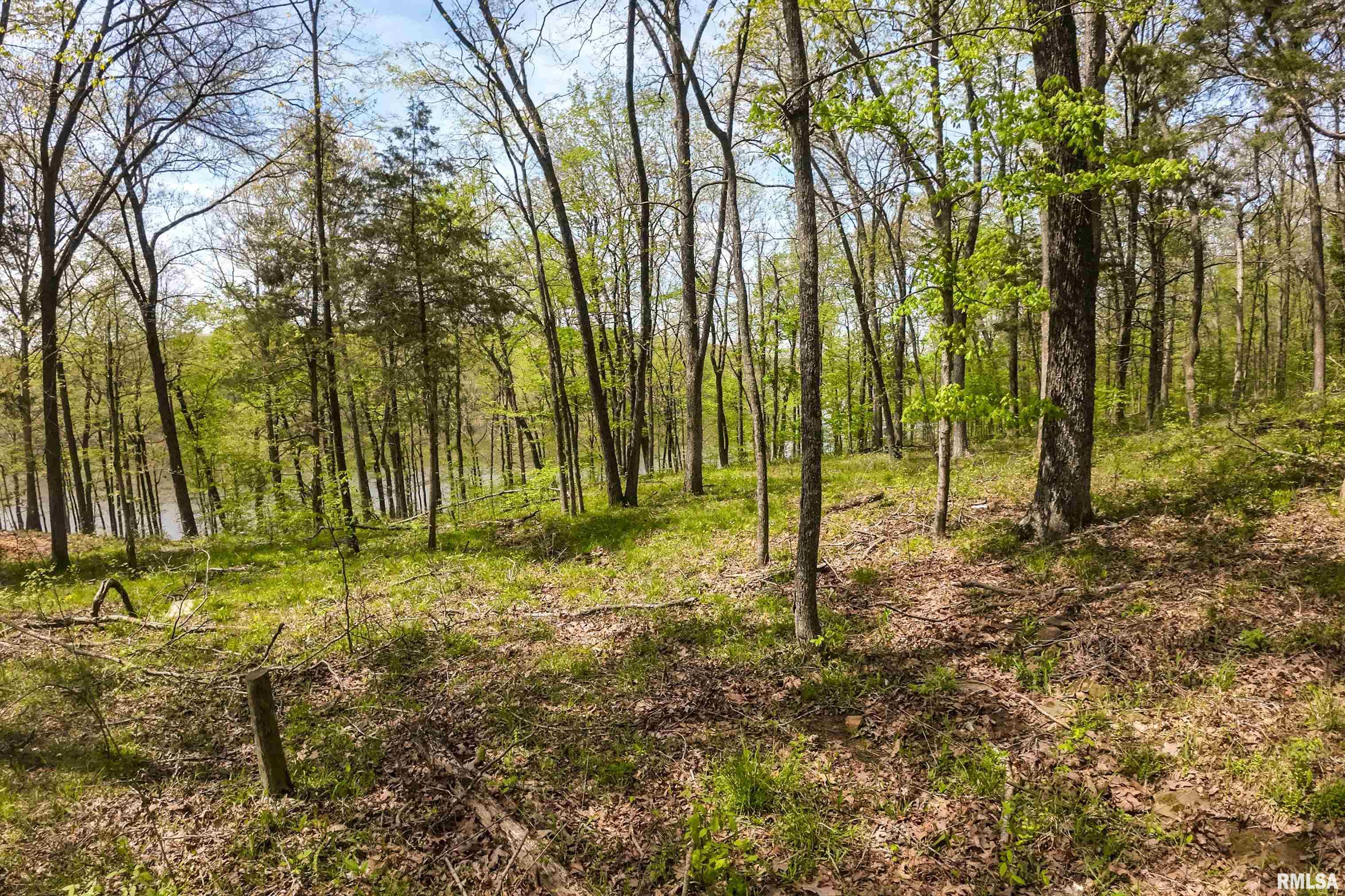 Lot 142 & 143 Cherry Point, Goreville, Illinois image 12