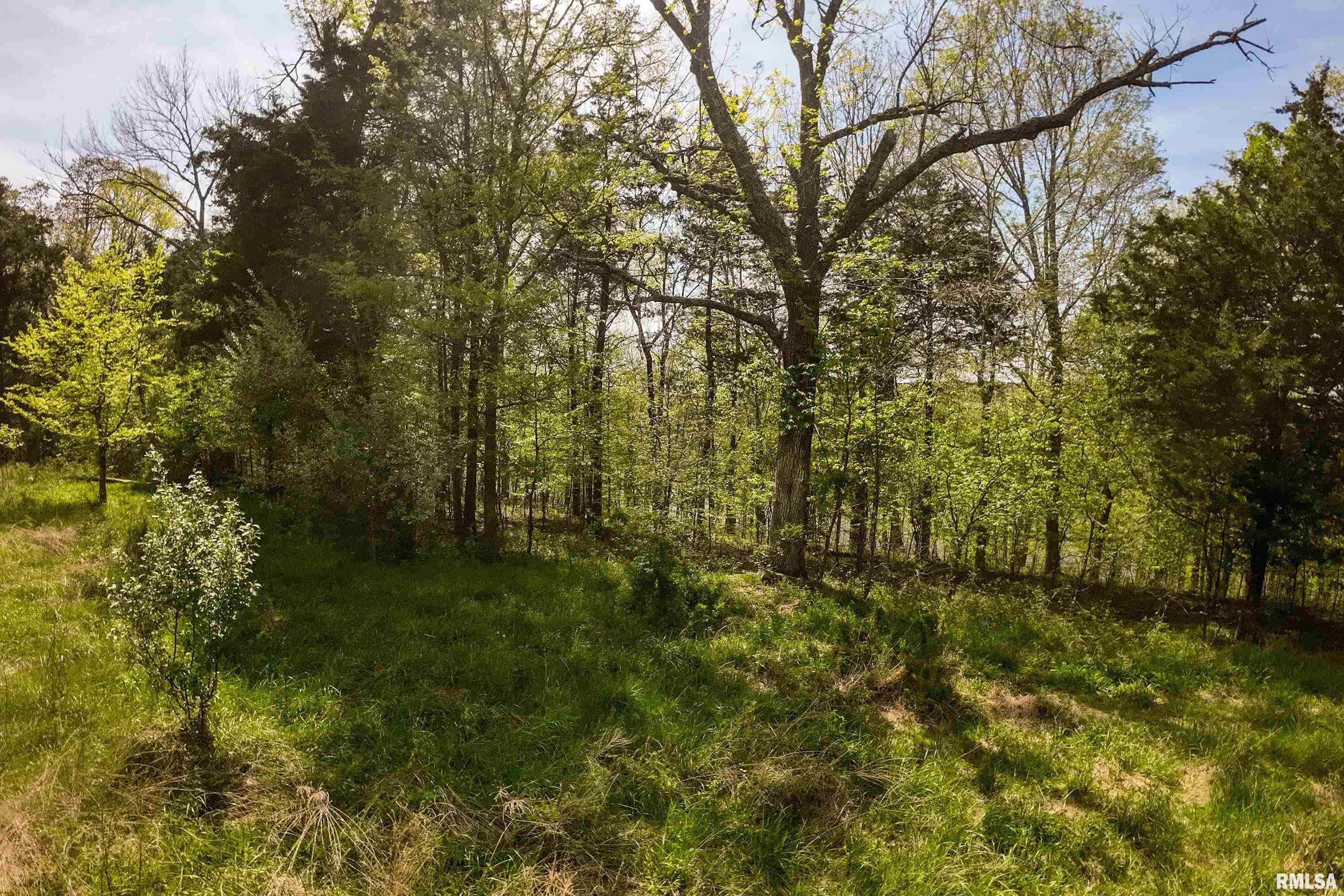 Lot 142 & 143 Cherry Point, Goreville, Illinois image 20