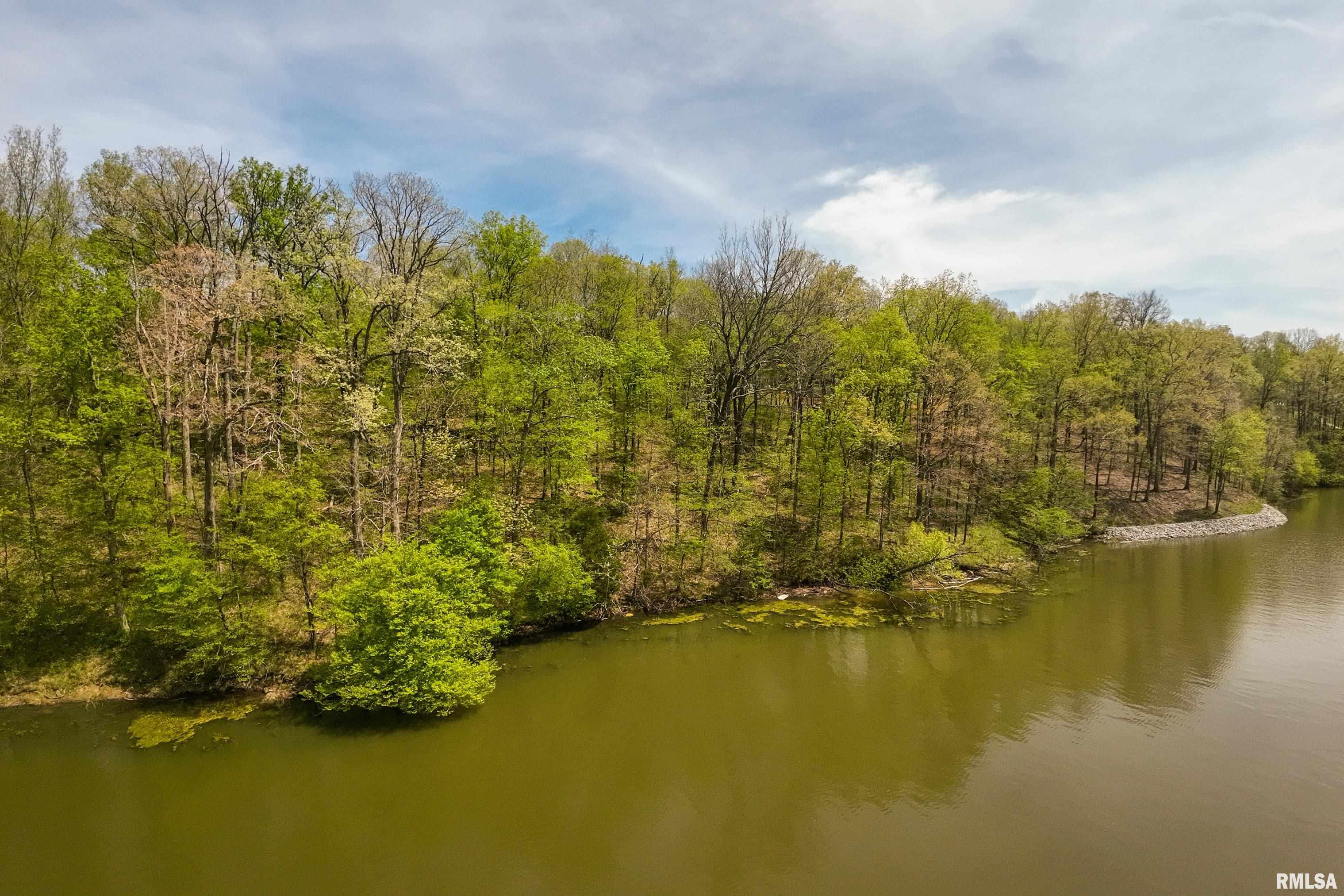Lot 142 & 143 Cherry Point, Goreville, Illinois image 2