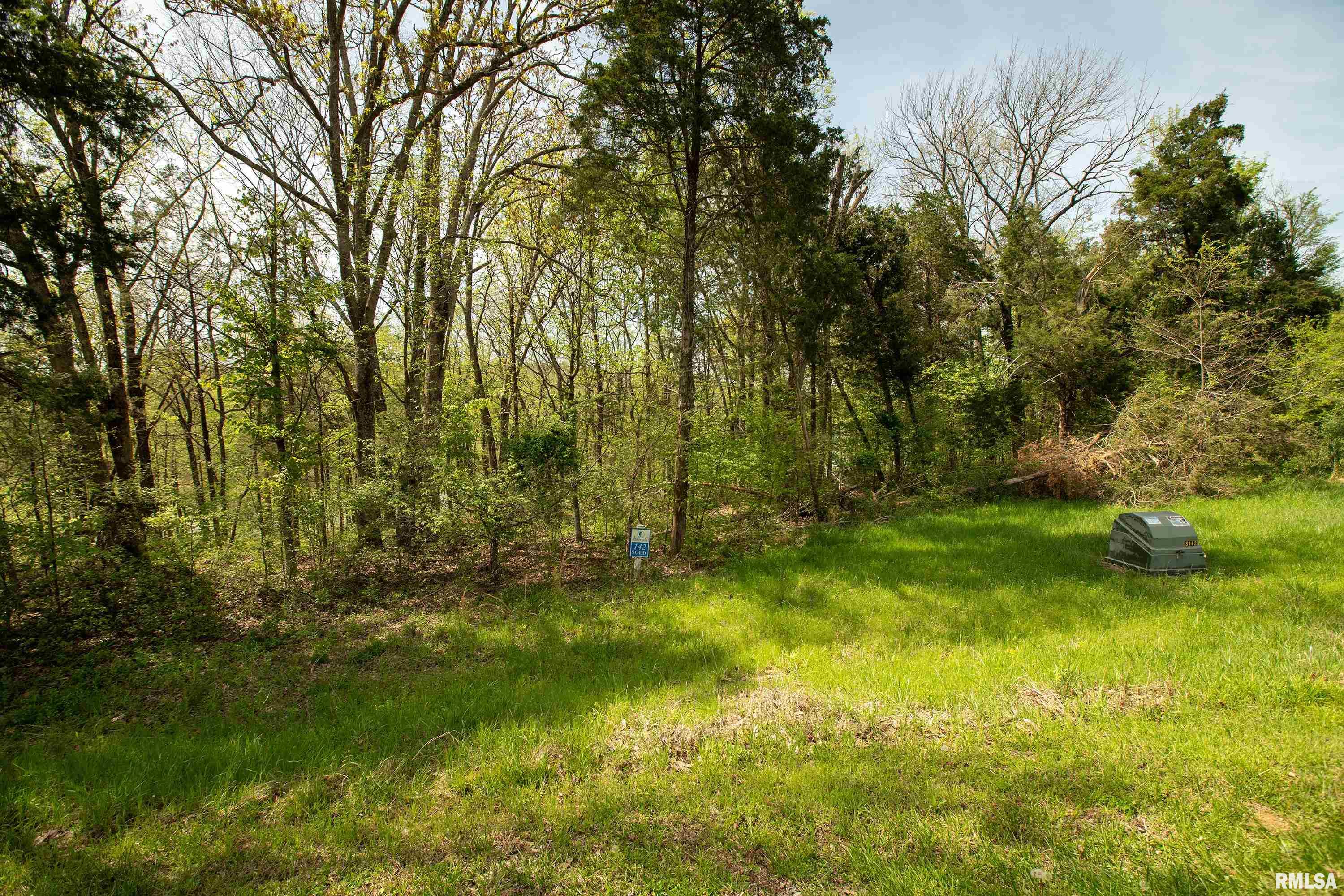Lot 142 & 143 Cherry Point, Goreville, Illinois image 21