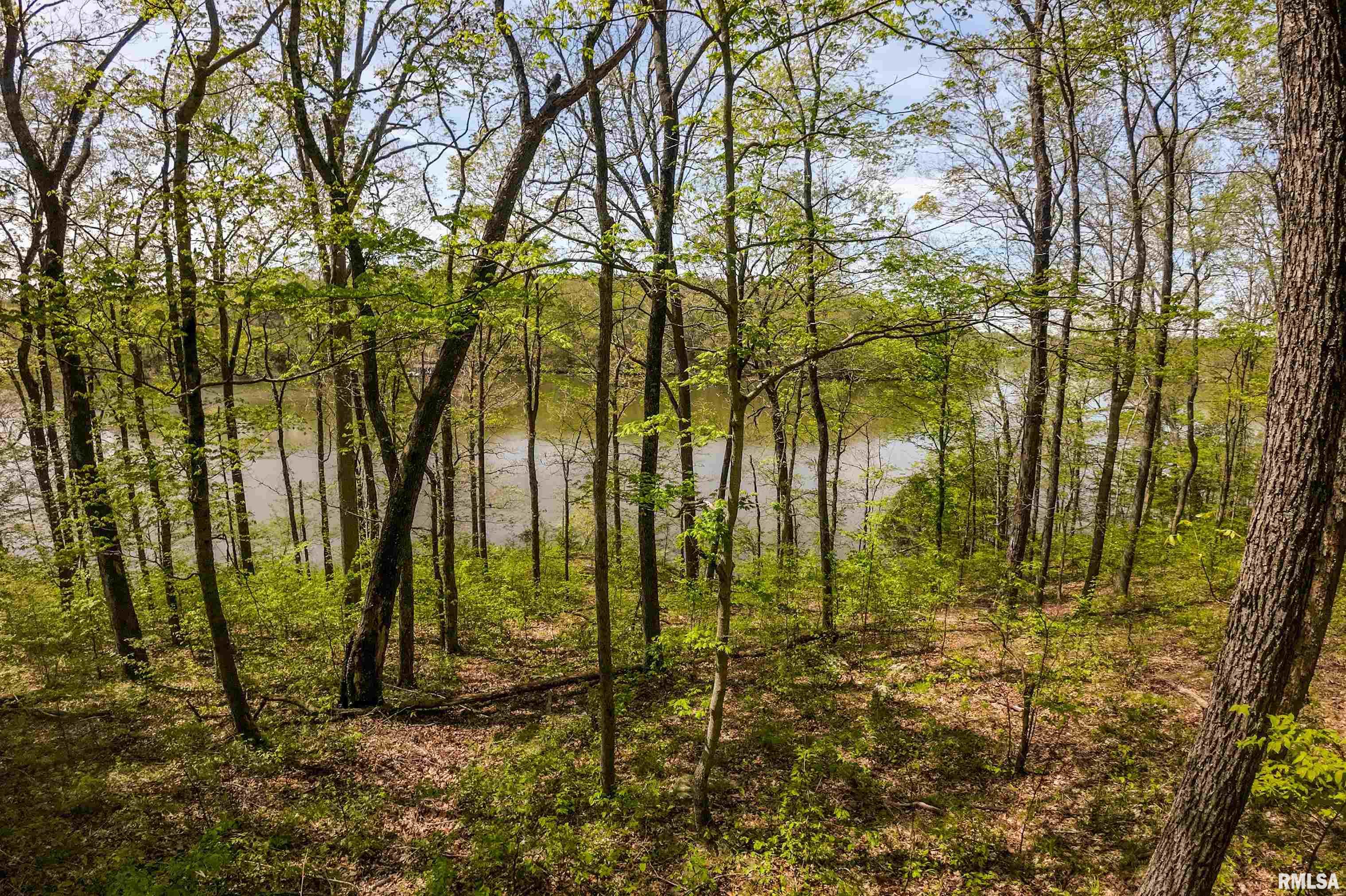 Lot 142 & 143 Cherry Point, Goreville, Illinois image 15