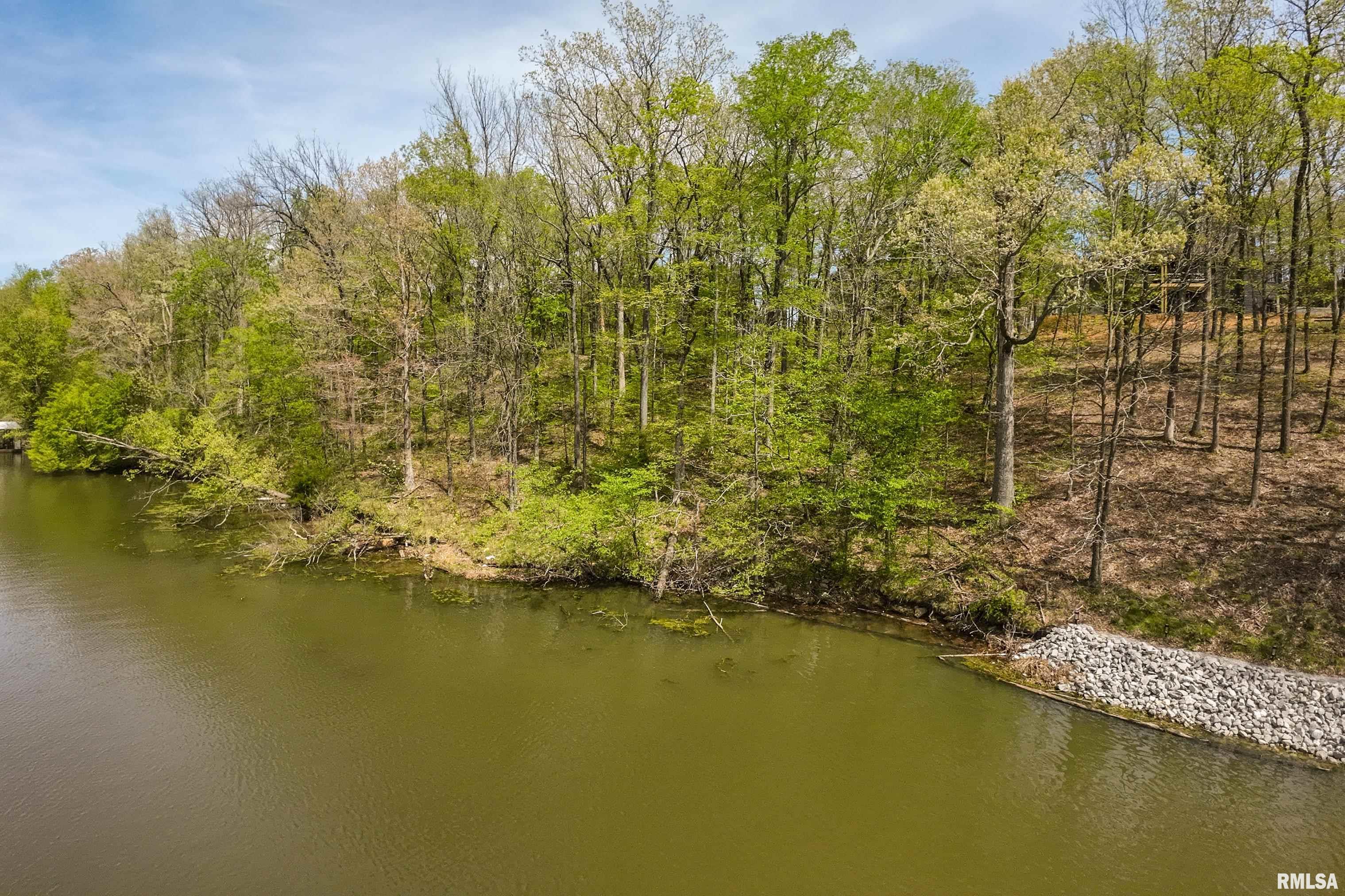 Lot 142 & 143 Cherry Point, Goreville, Illinois image 3