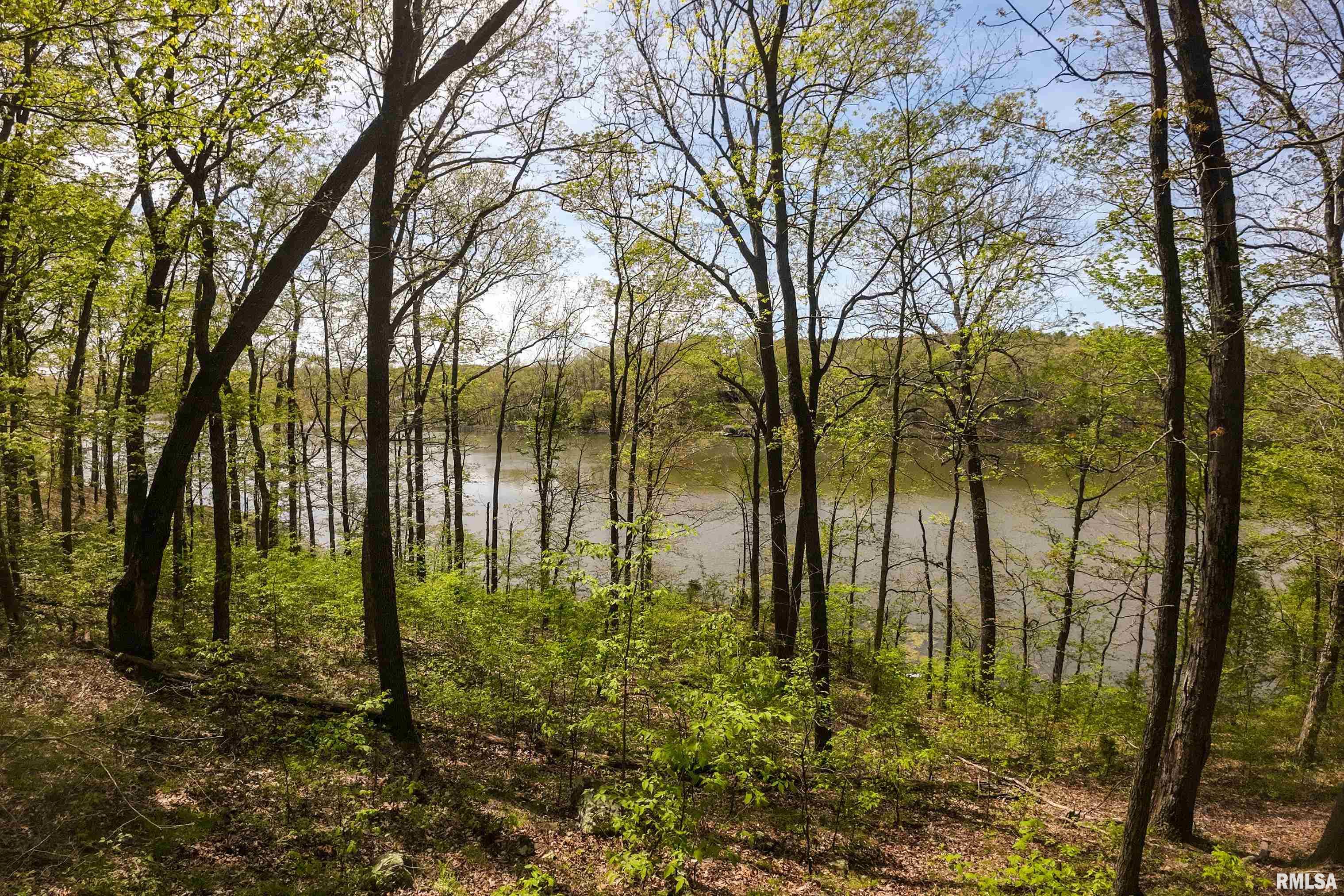 Lot 142 & 143 Cherry Point, Goreville, Illinois image 16