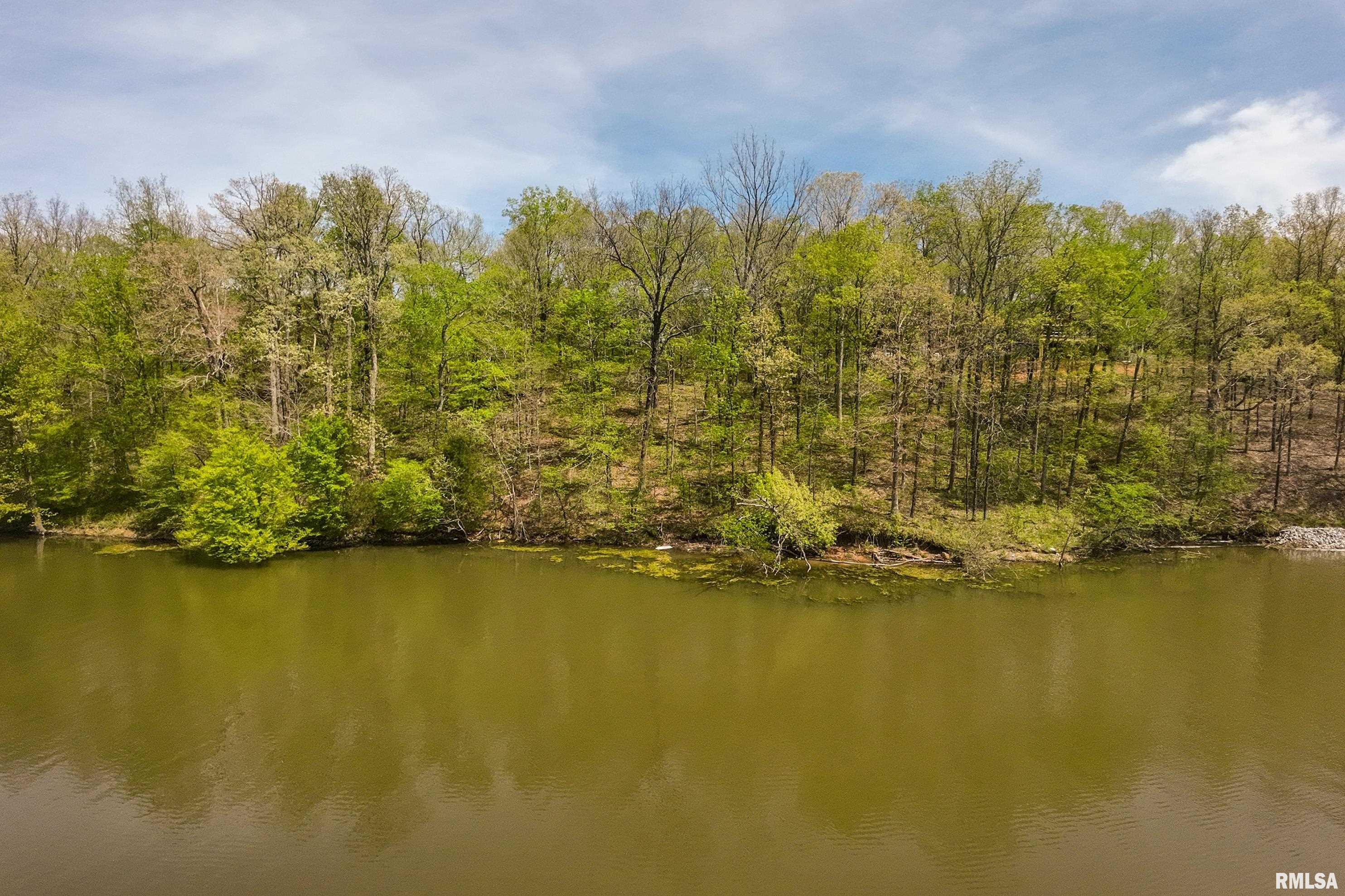 Lot 142 & 143 Cherry Point, Goreville, Illinois image 1
