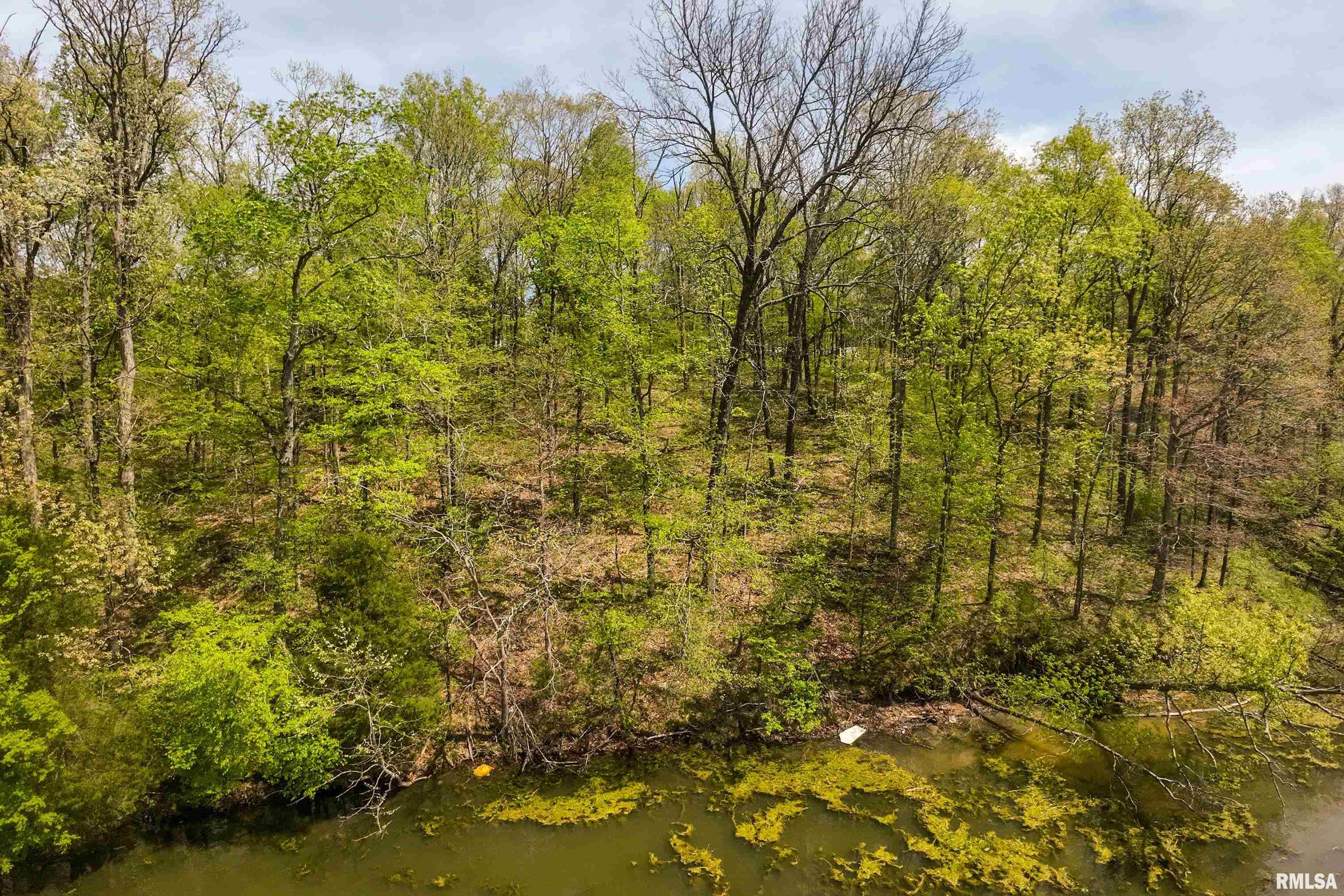Lot 142 & 143 Cherry Point, Goreville, Illinois image 13