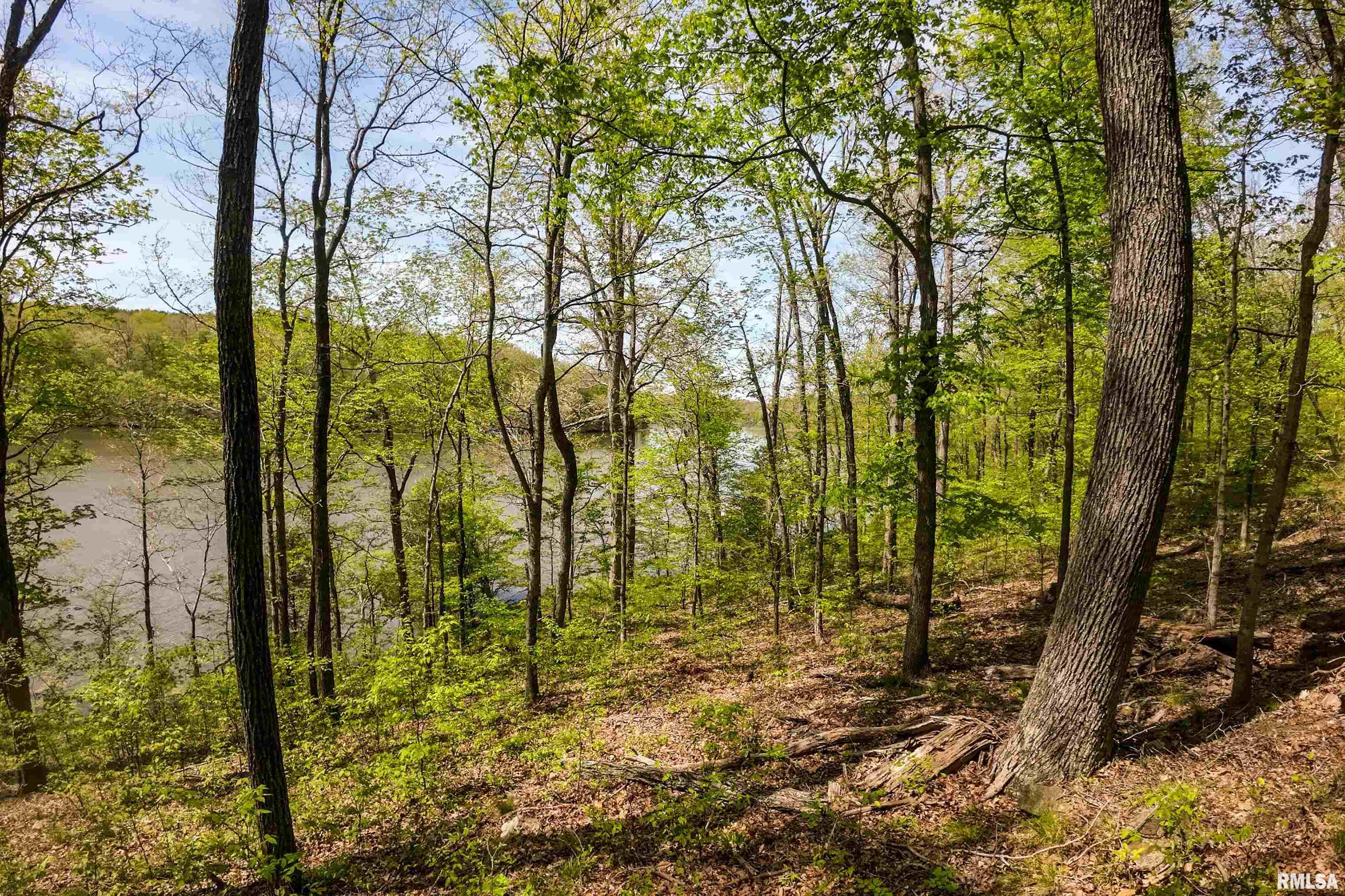 Lot 142 & 143 Cherry Point, Goreville, Illinois image 19