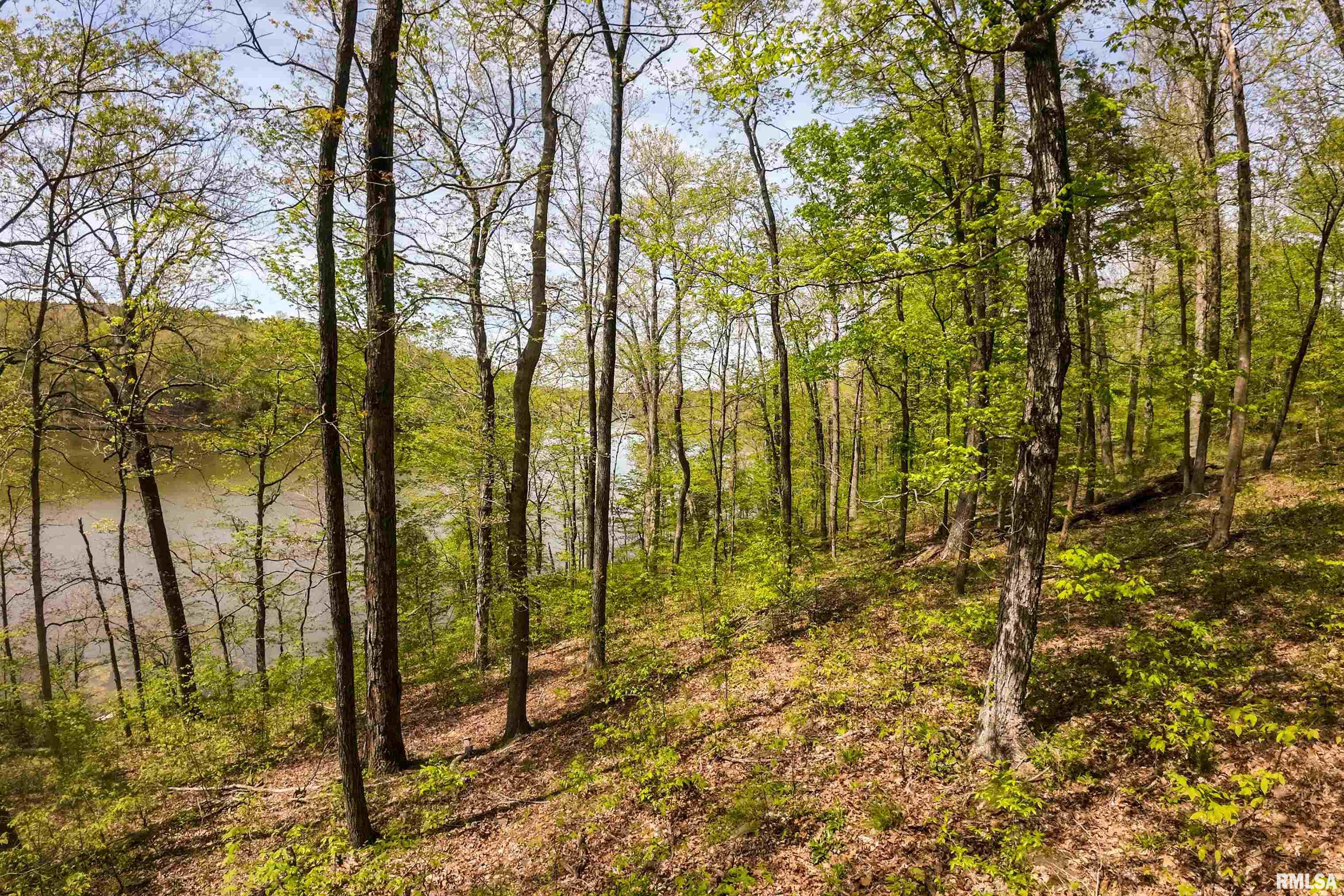 Lot 142 & 143 Cherry Point, Goreville, Illinois image 17