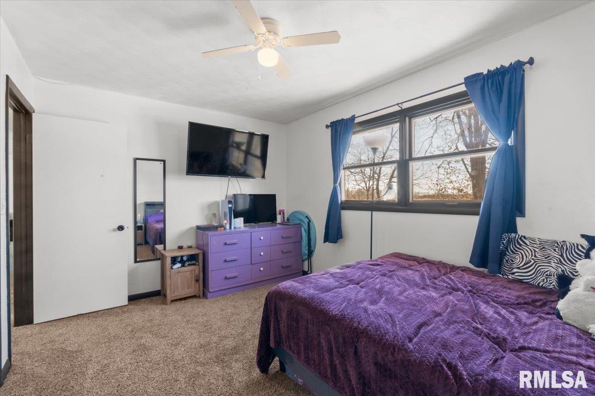 112 Hillcrest Drive, Geneseo, Illinois image 23